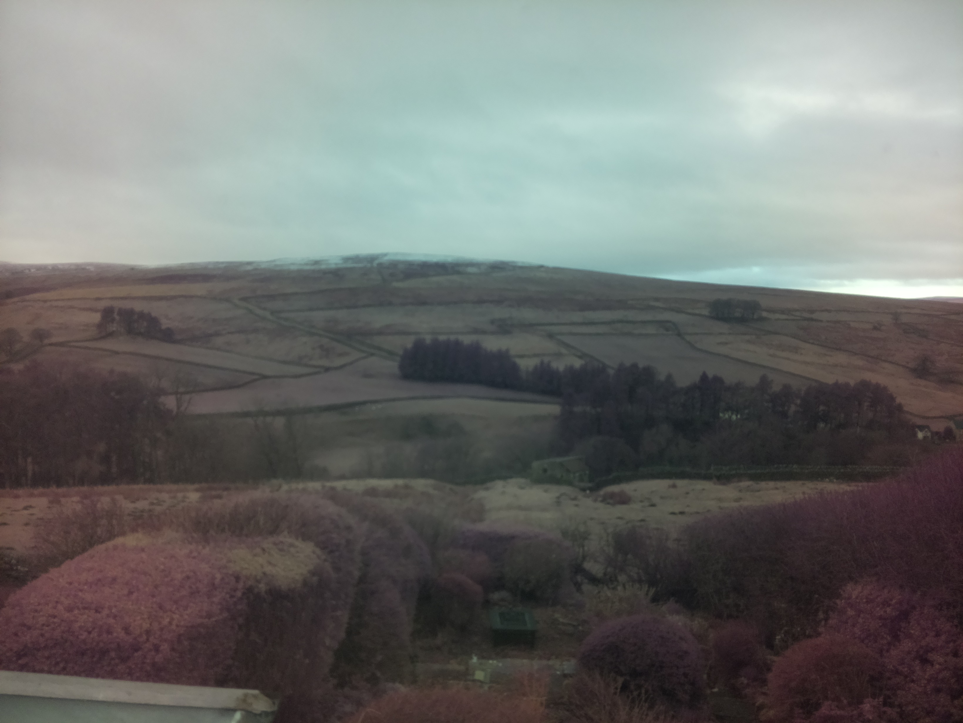 raspi webcam photo