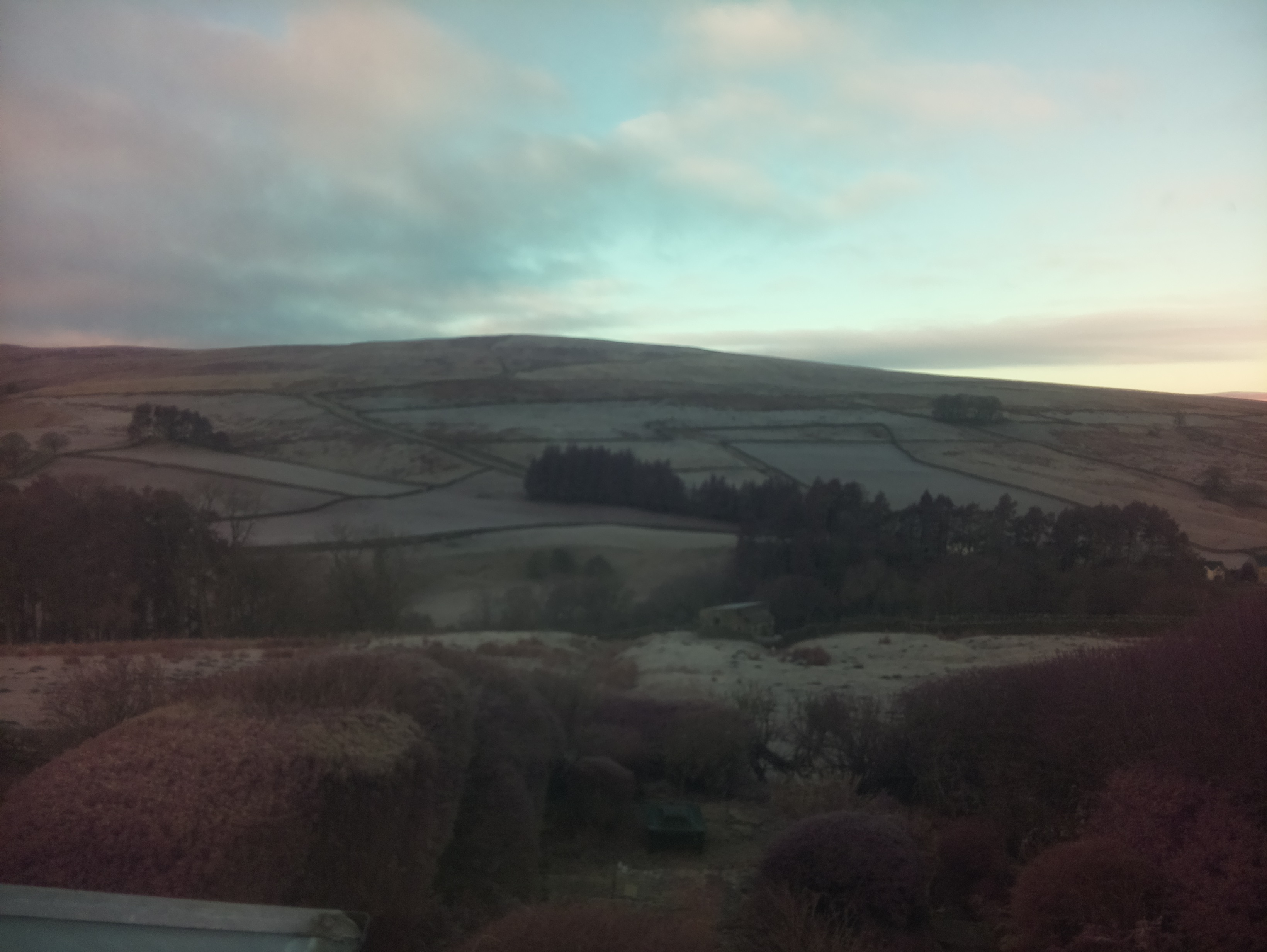 raspi webcam photo