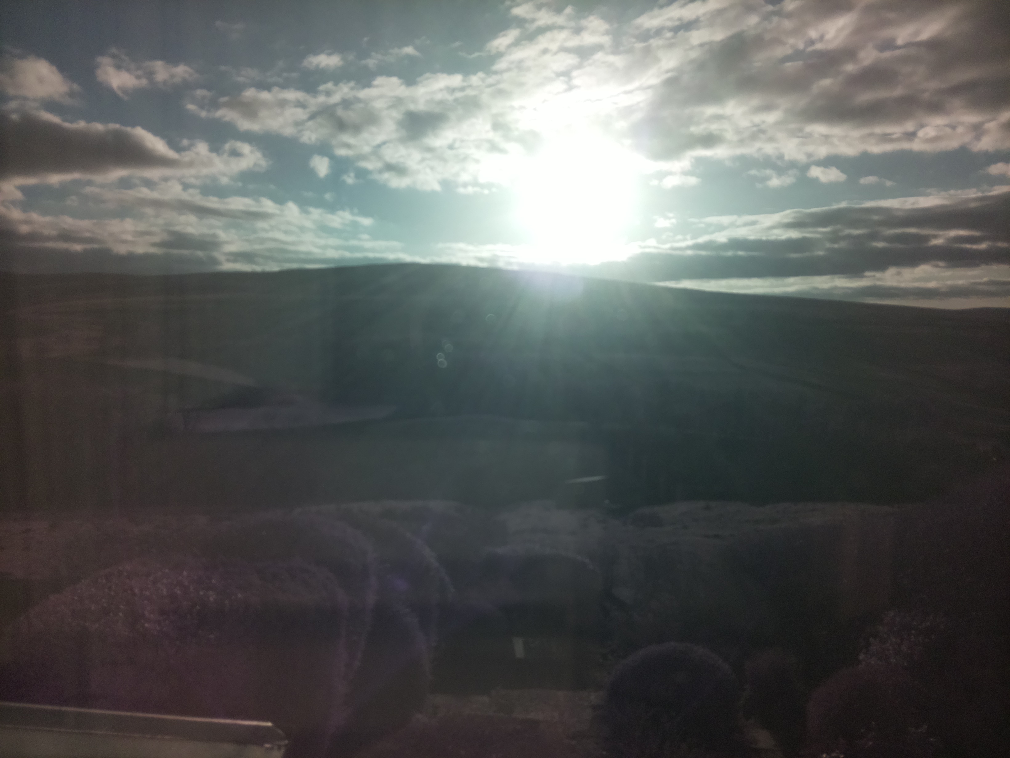 raspi webcam photo