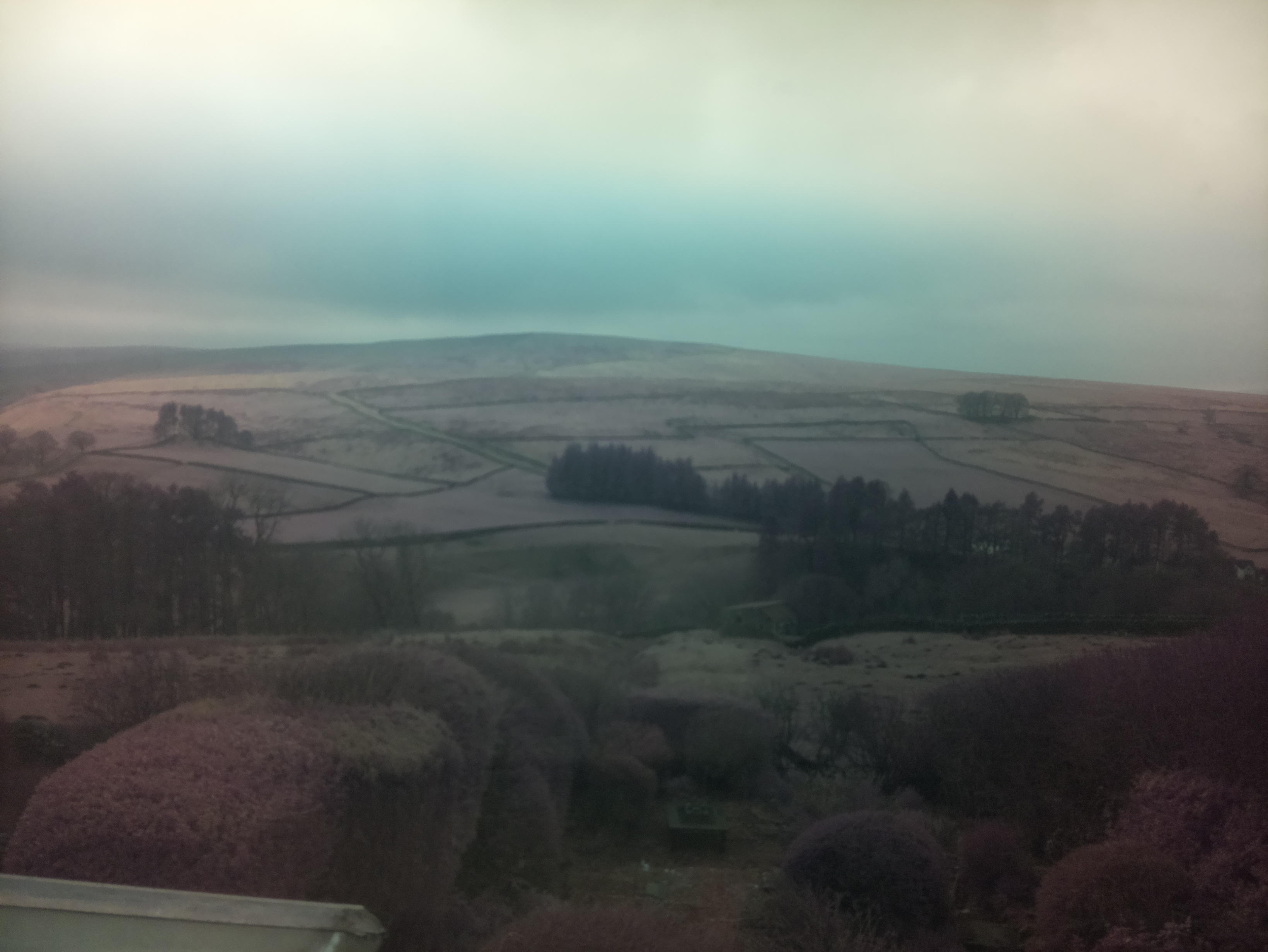 raspi webcam photo