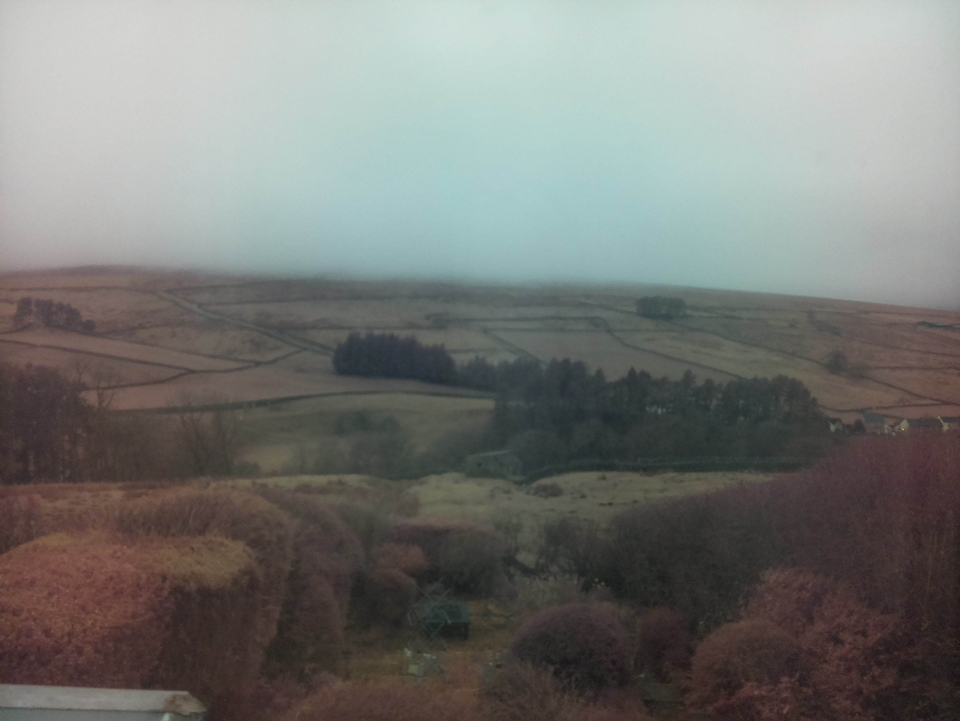 raspi webcam photo
