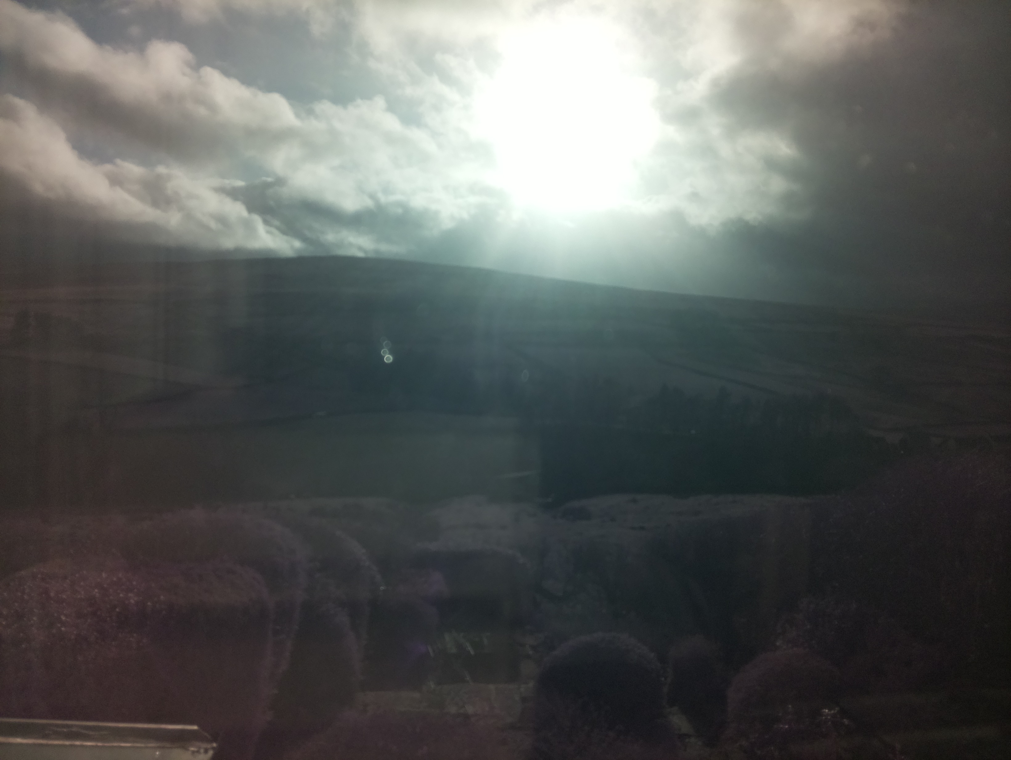 raspi webcam photo