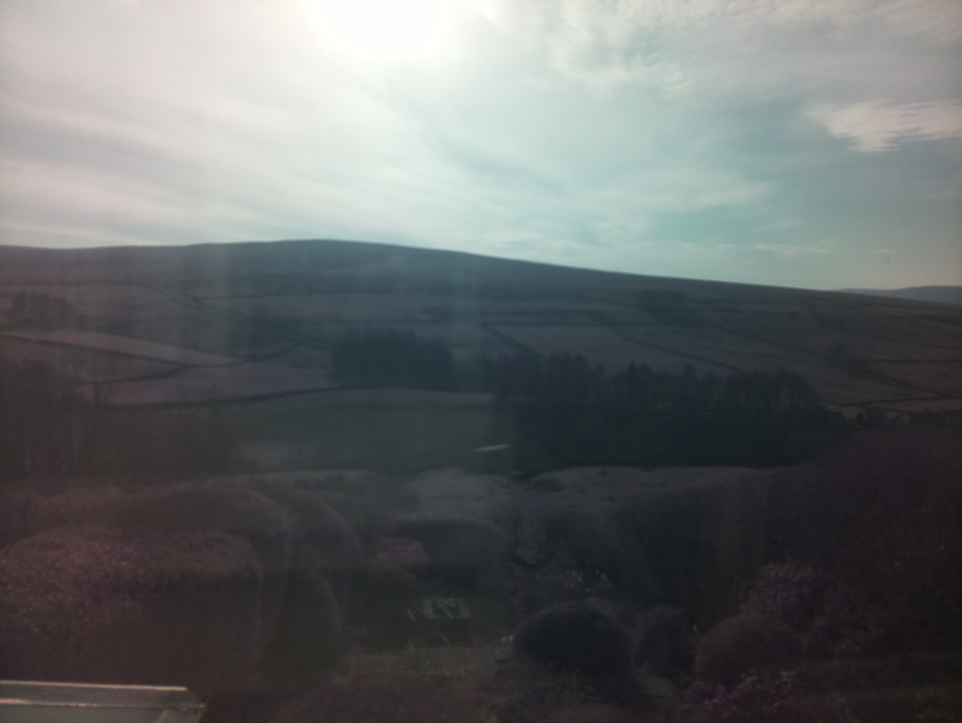 raspi webcam photo