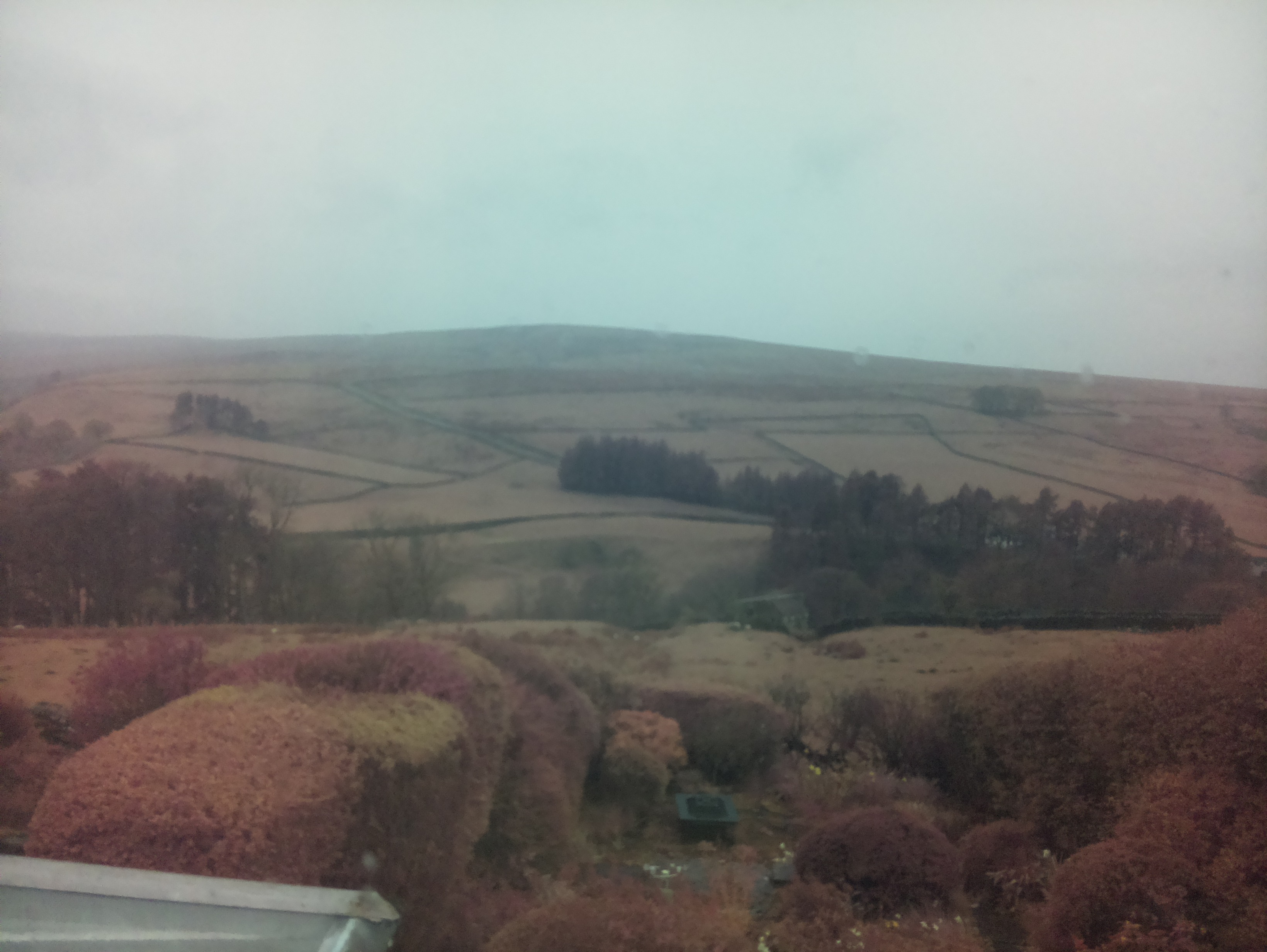 raspi webcam photo