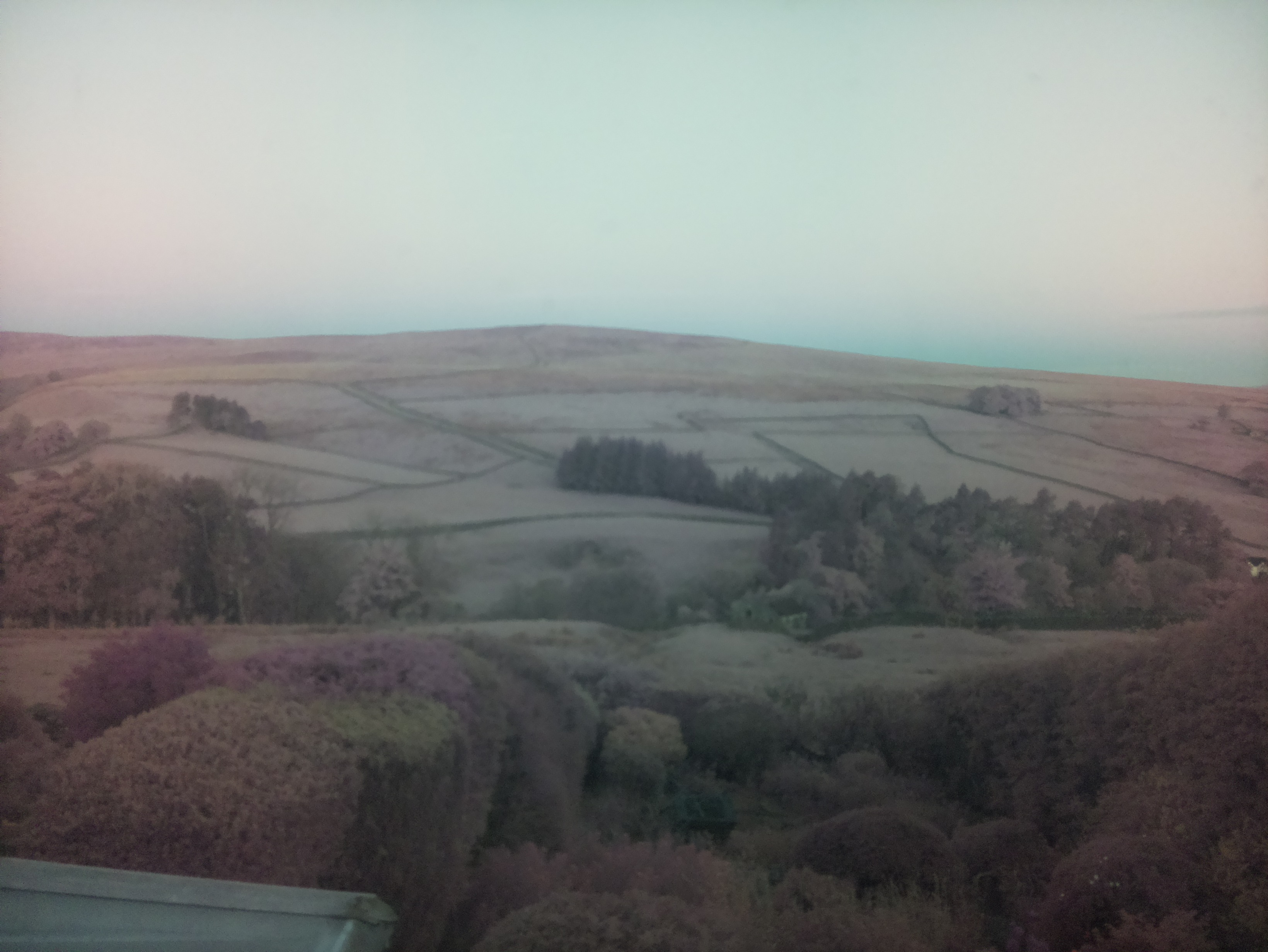 raspi webcam photo