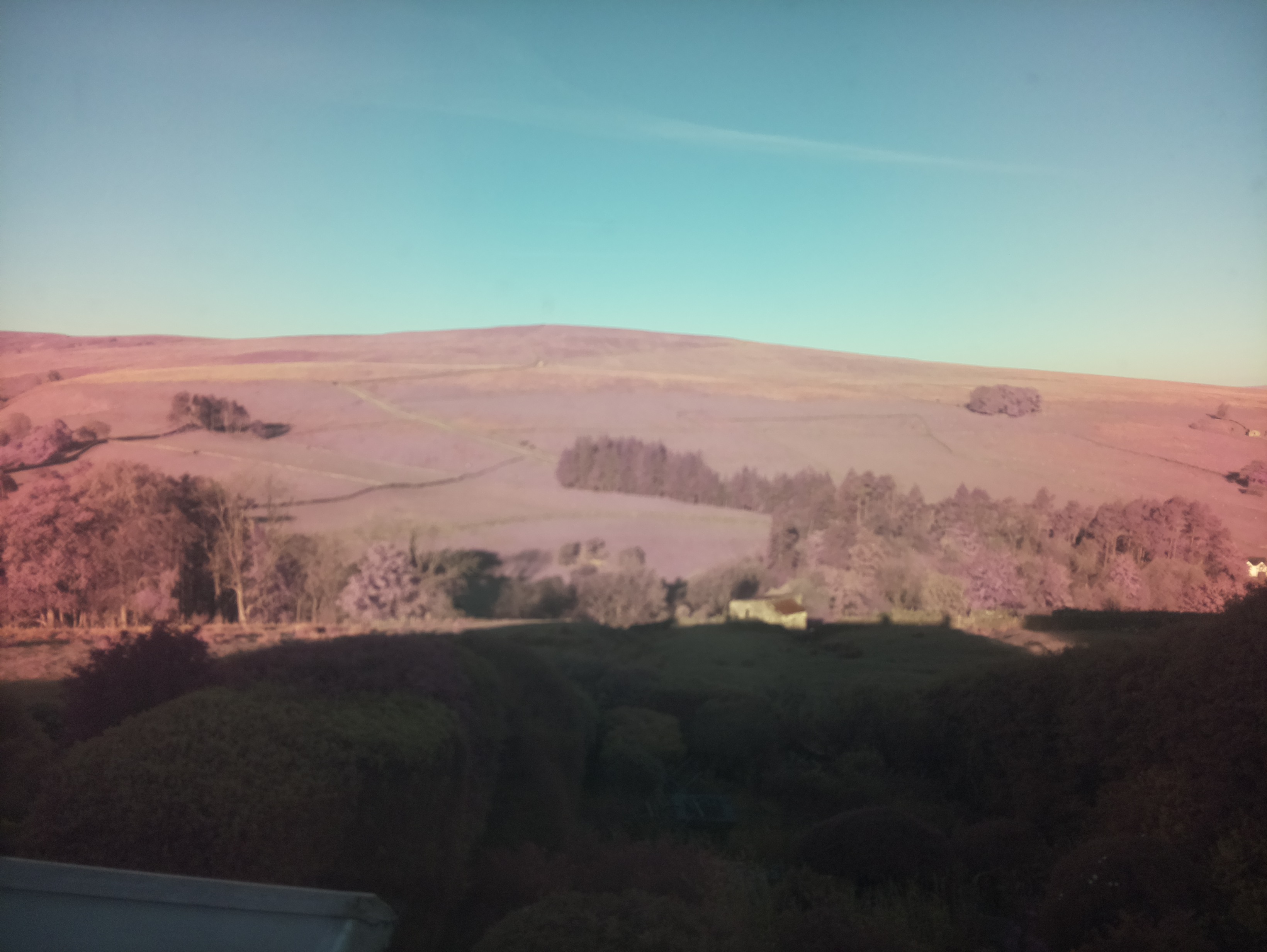 raspi webcam photo