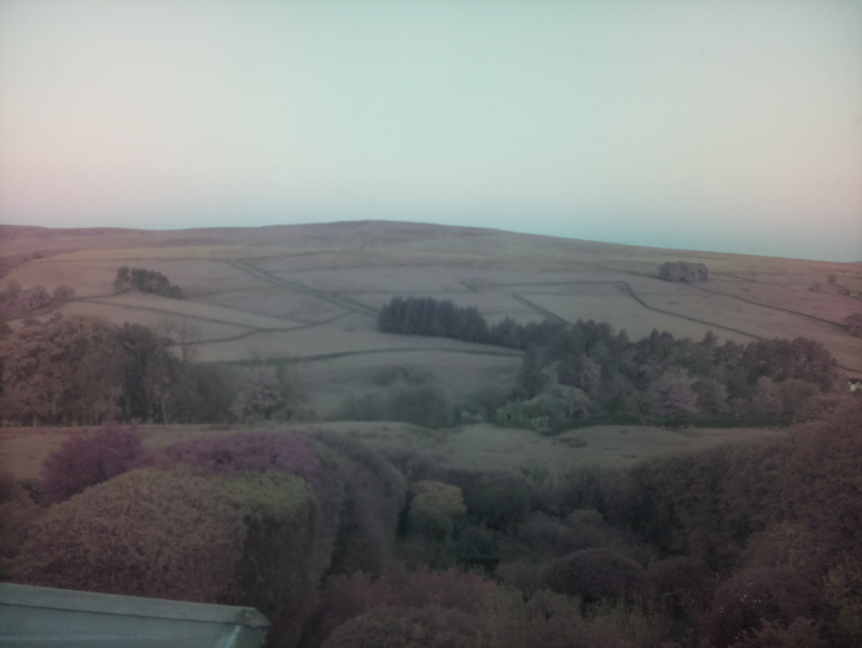 raspi webcam photo