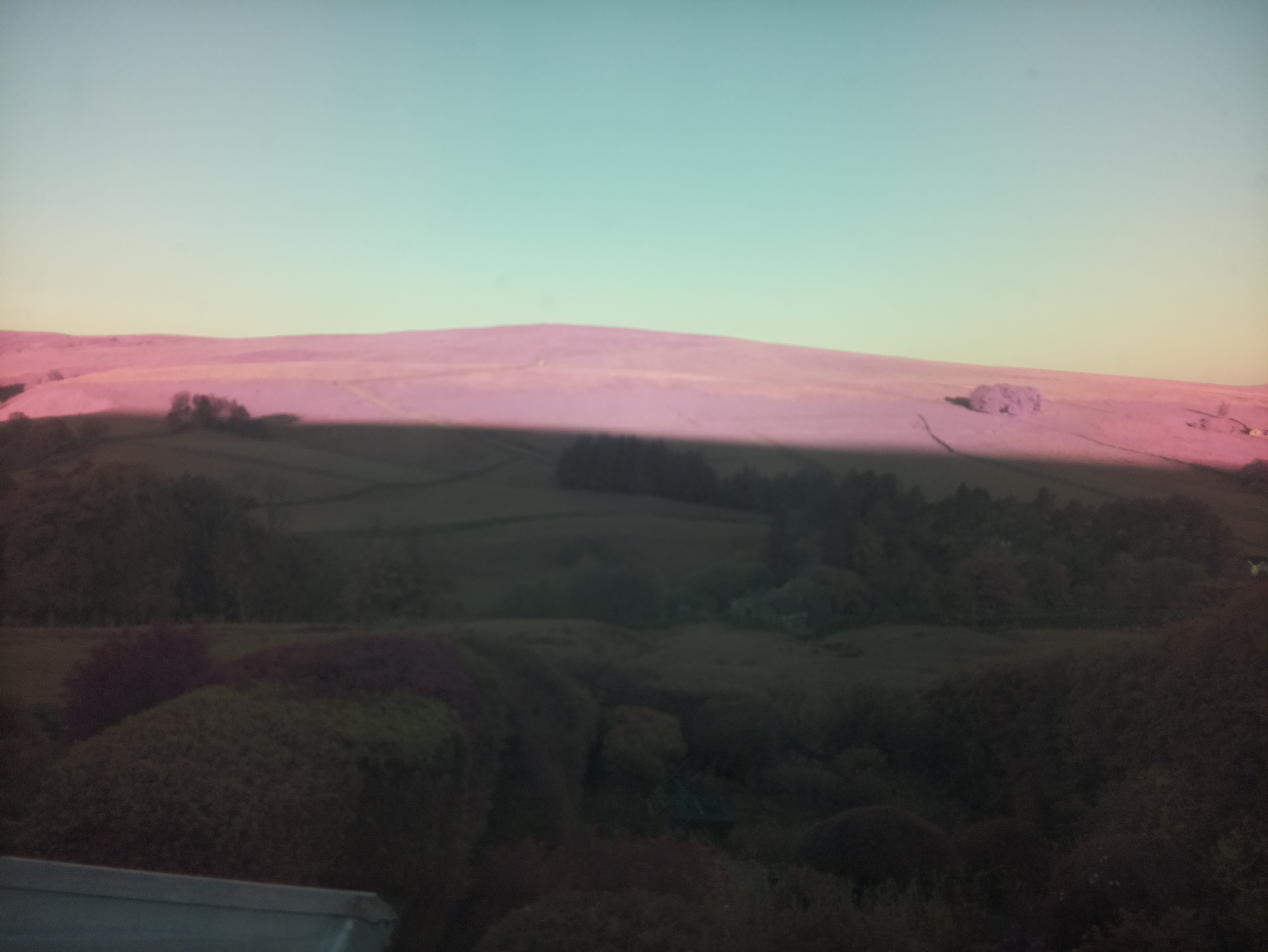 raspi webcam photo