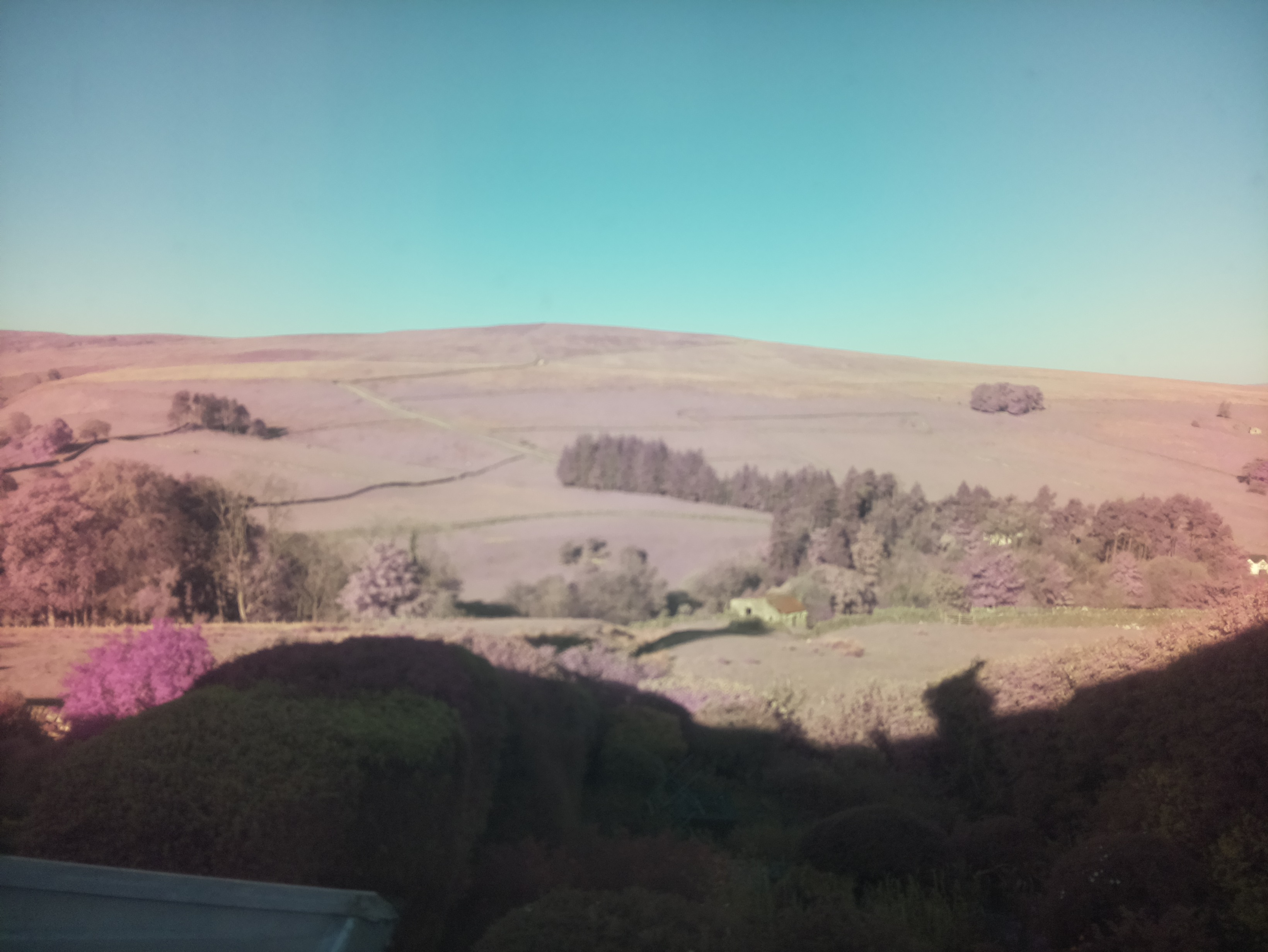 raspi webcam photo
