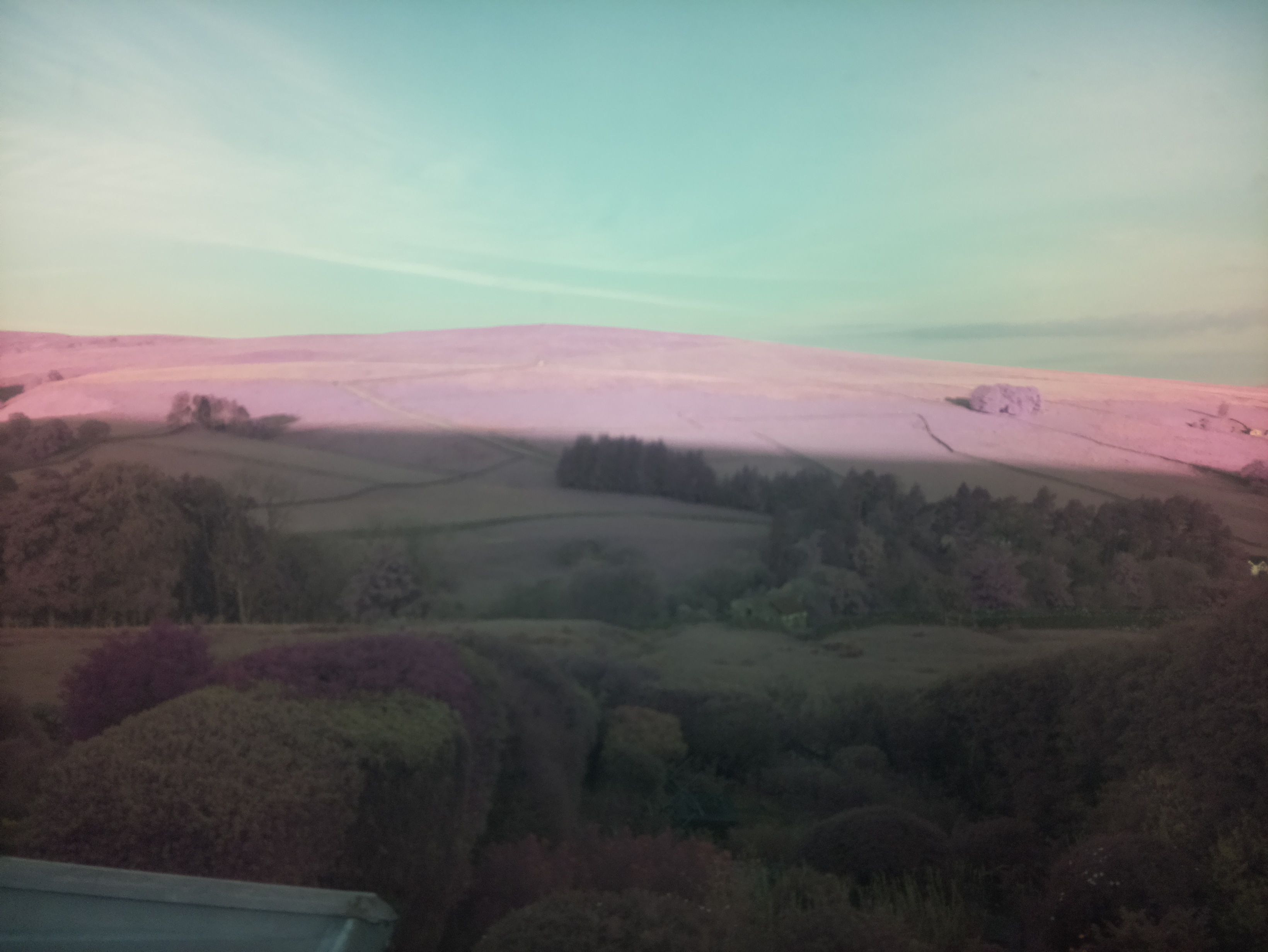 raspi webcam photo