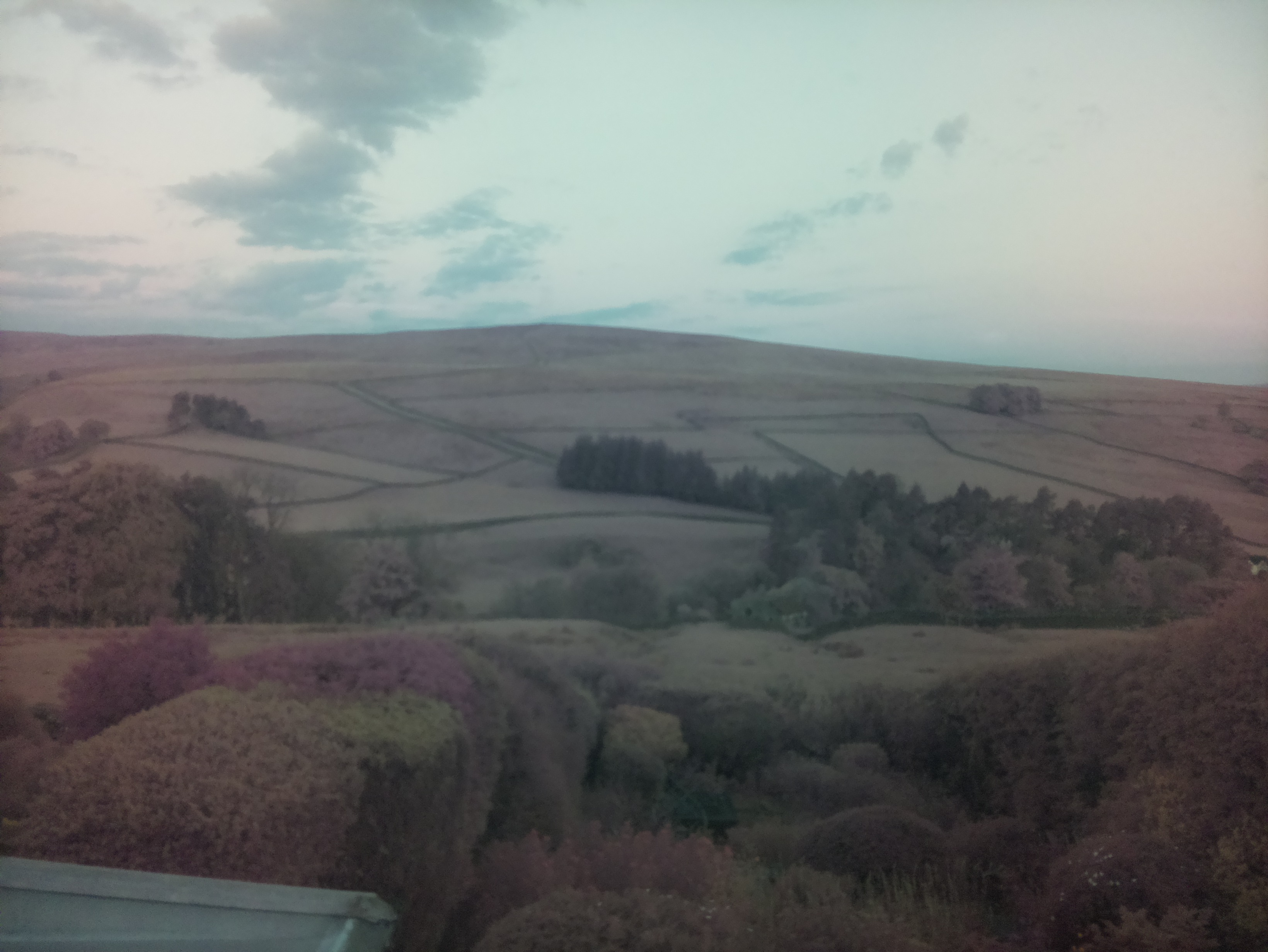 raspi webcam photo