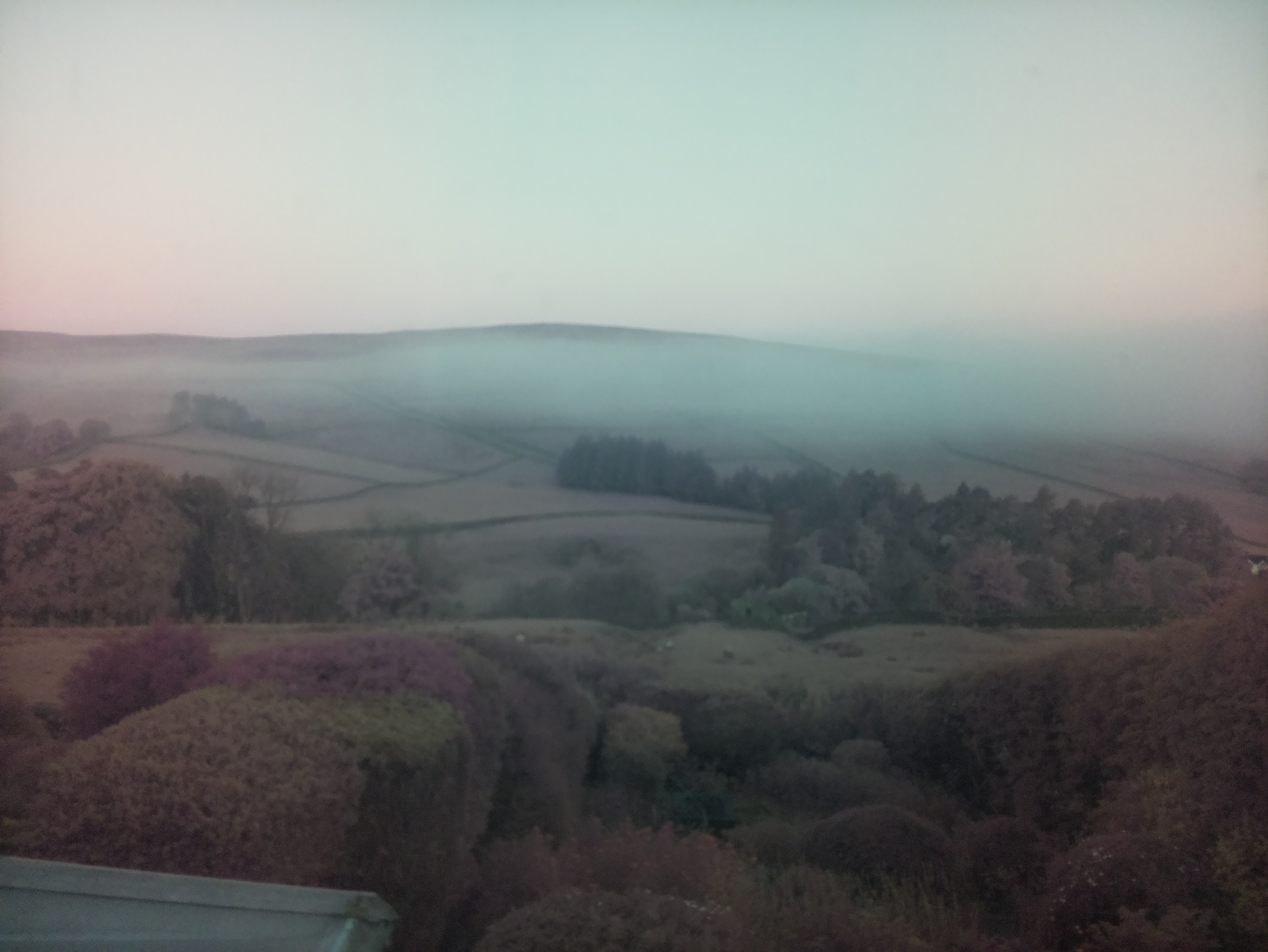 raspi webcam photo