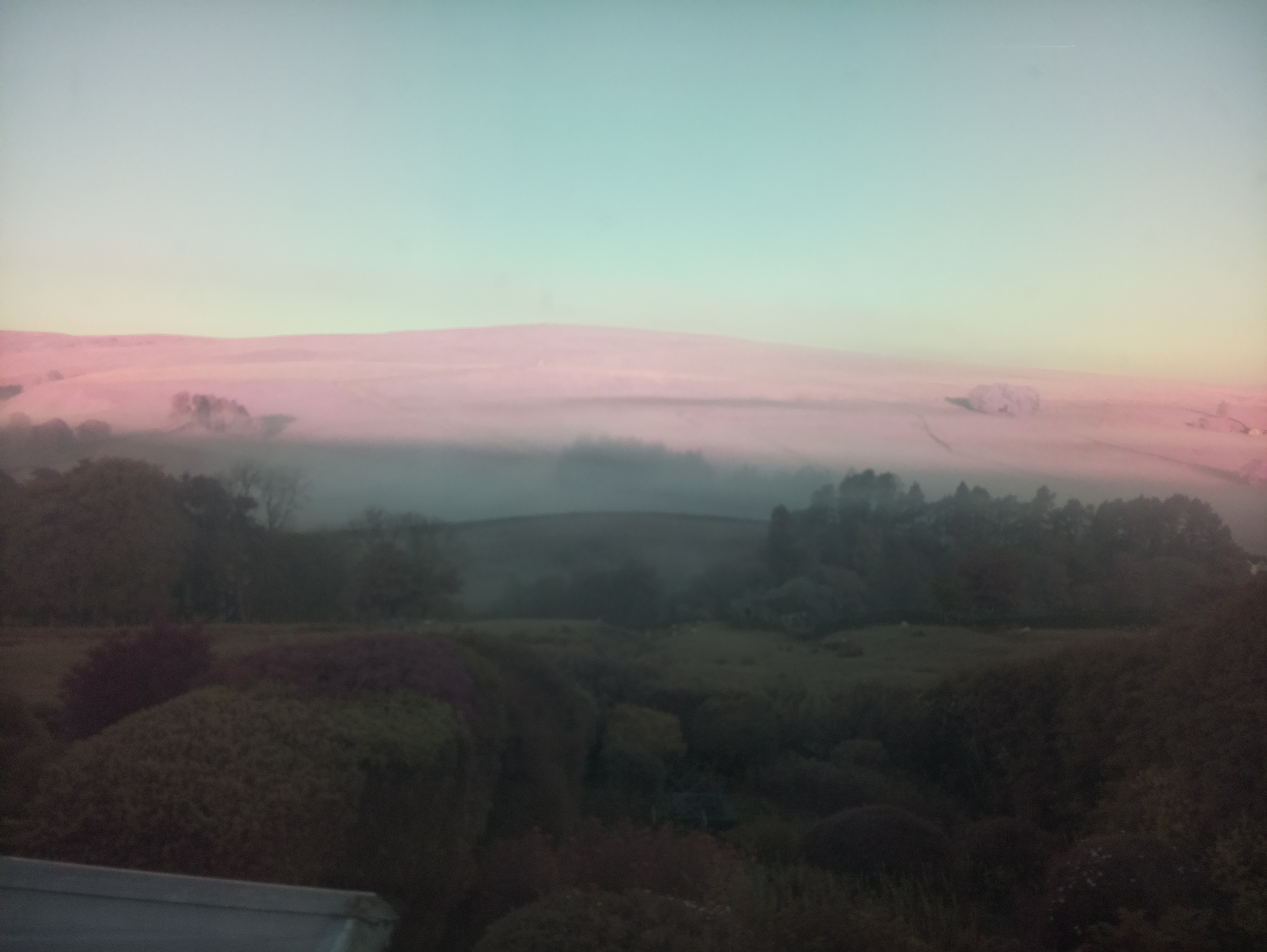 raspi webcam photo