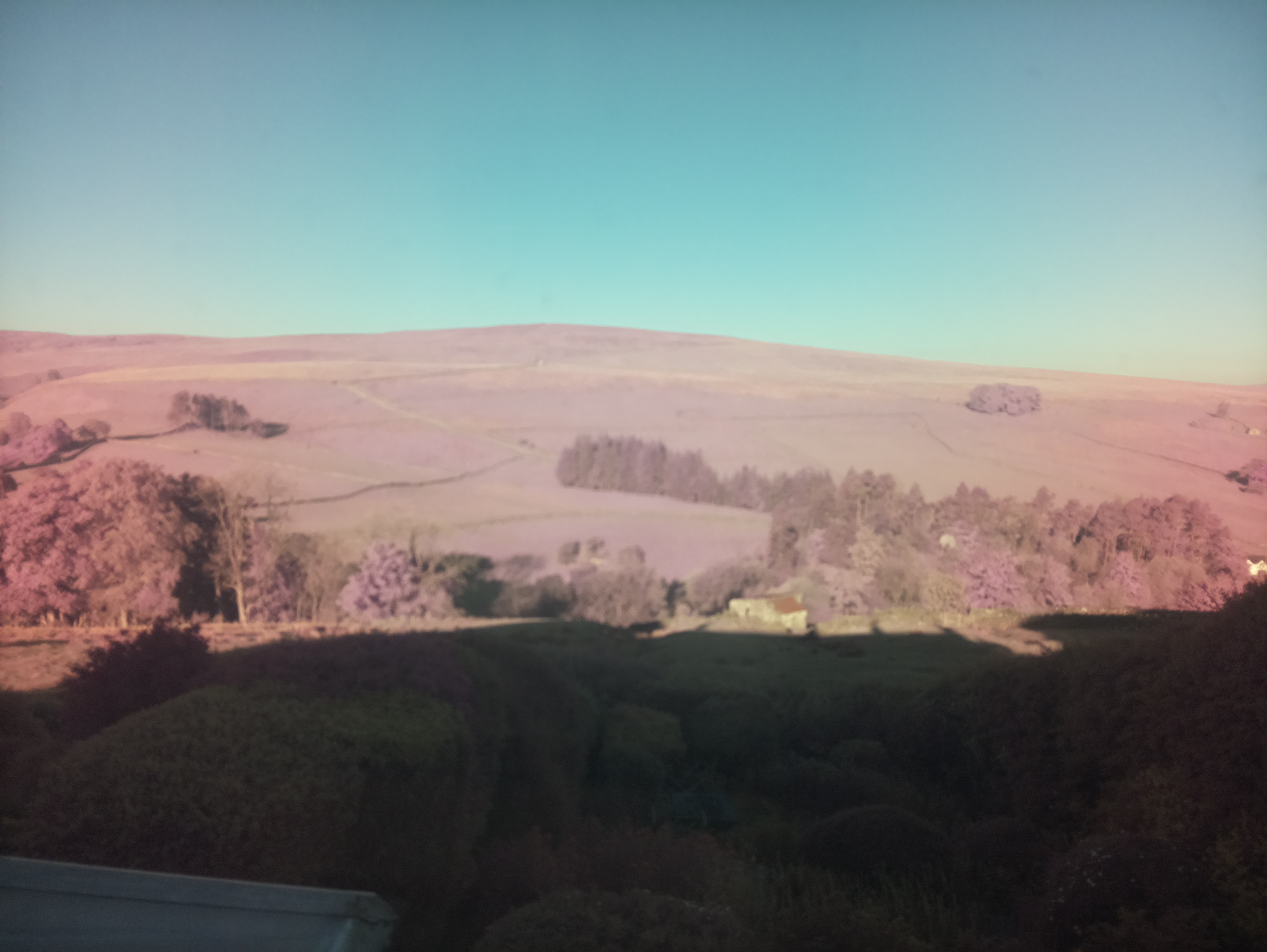 raspi webcam photo