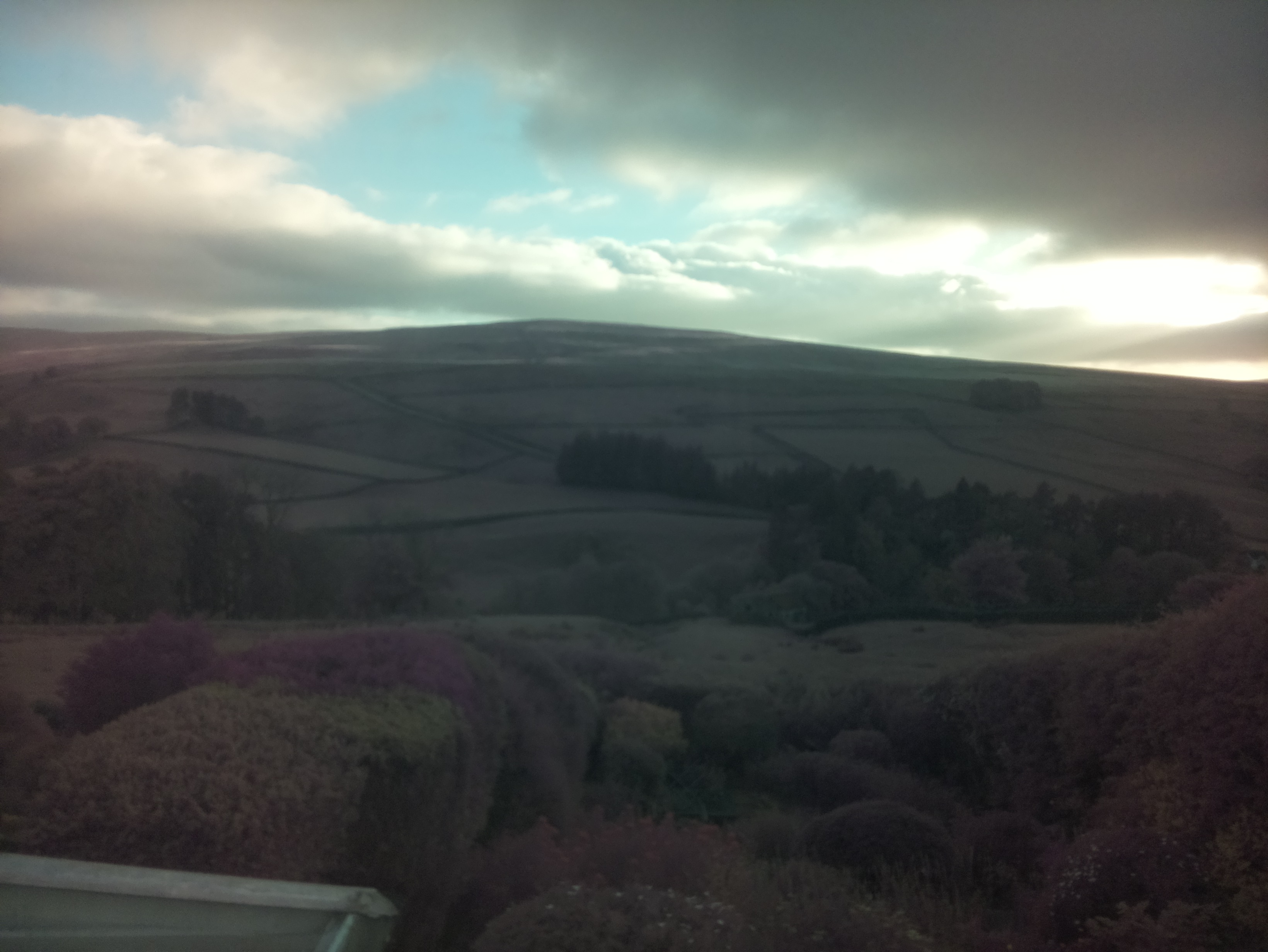raspi webcam photo