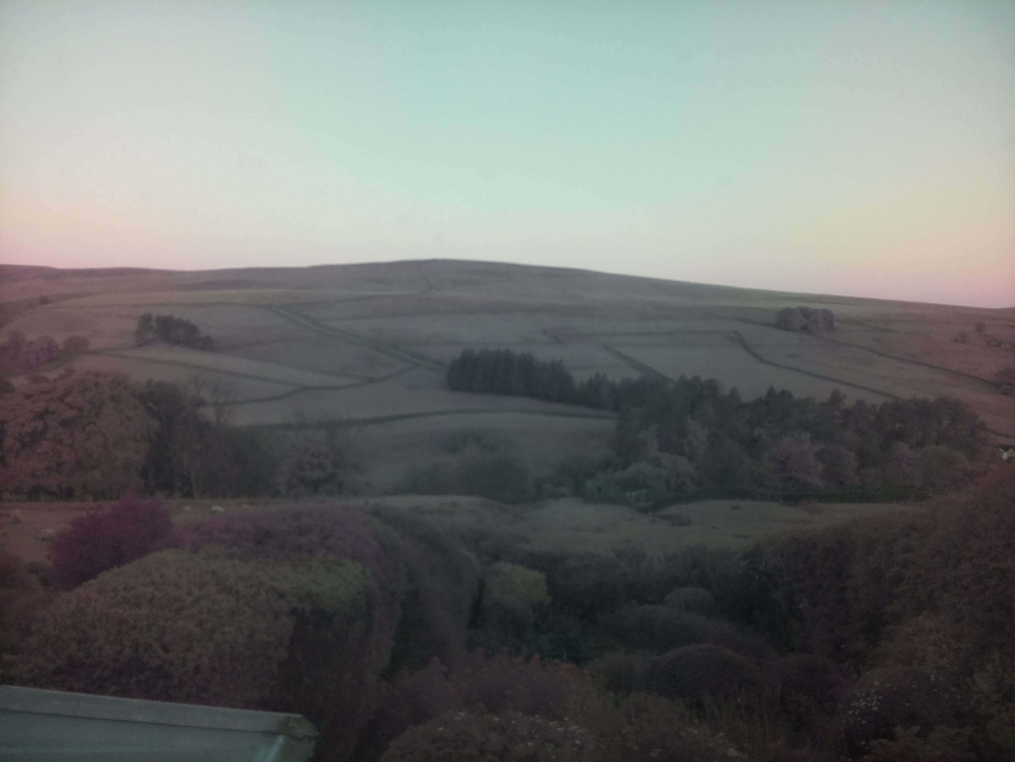 raspi webcam photo