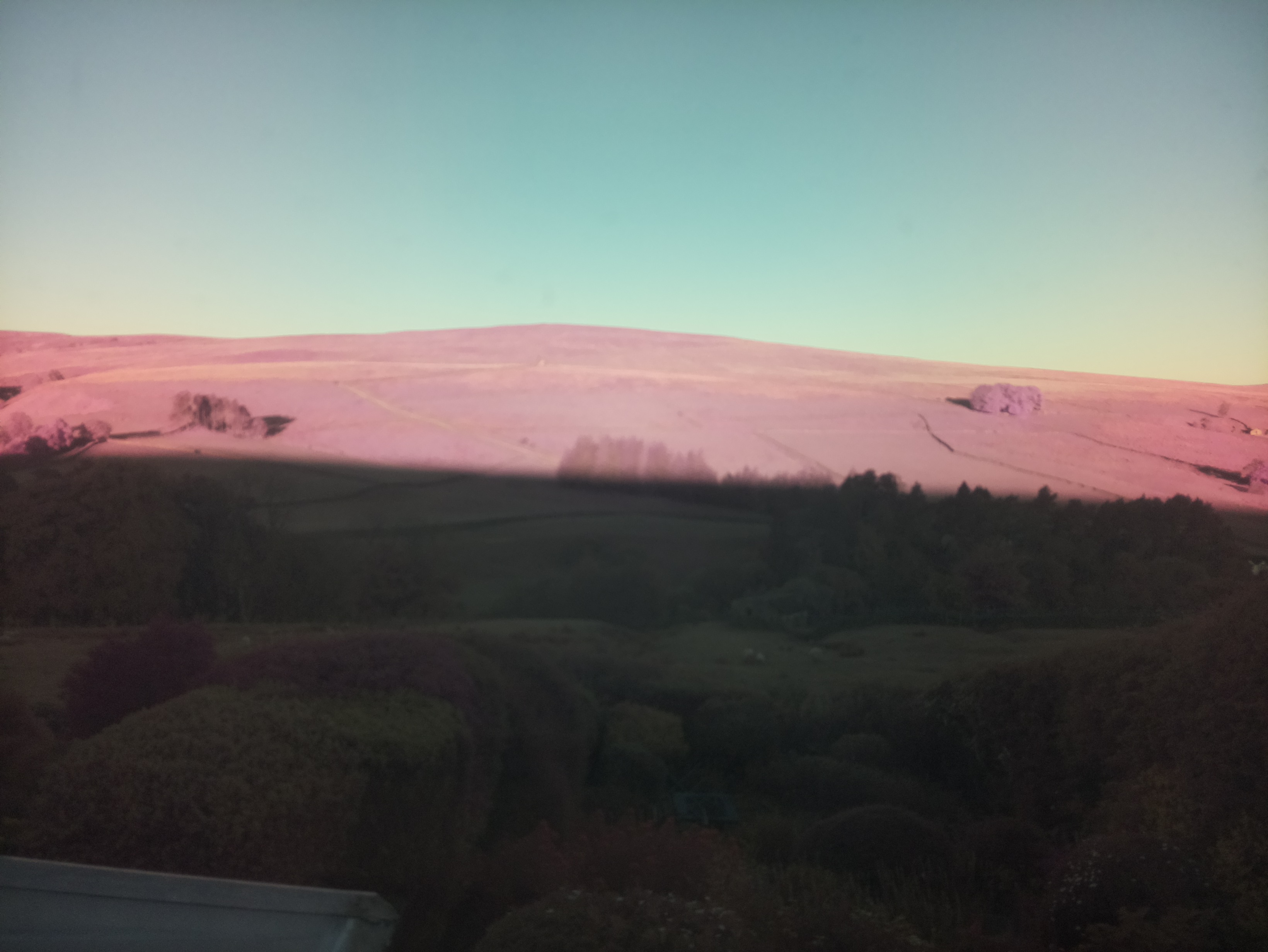 raspi webcam photo