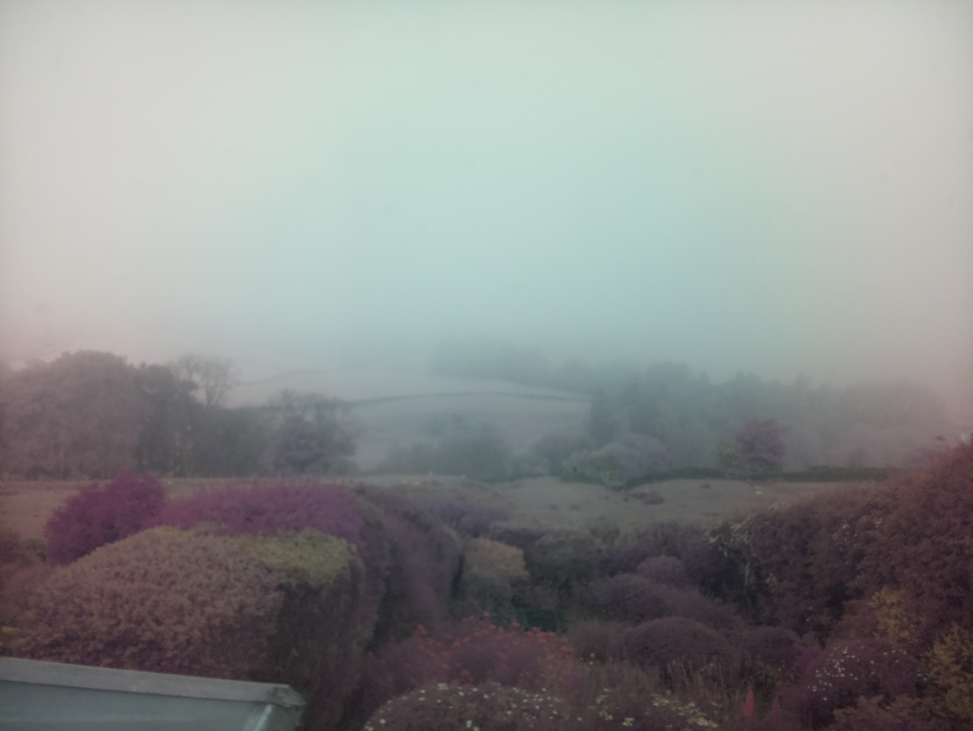 raspi webcam photo