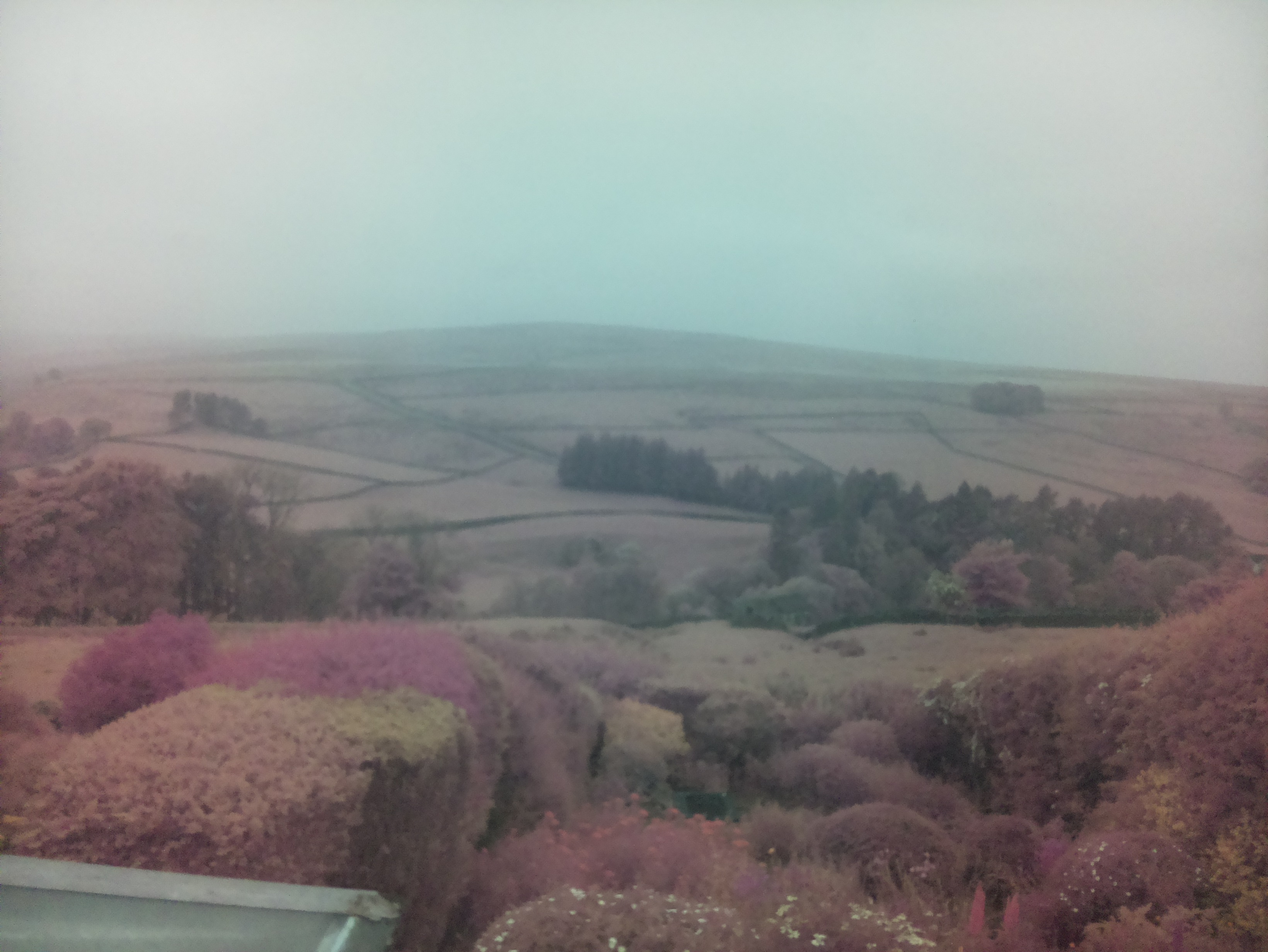 raspi webcam photo
