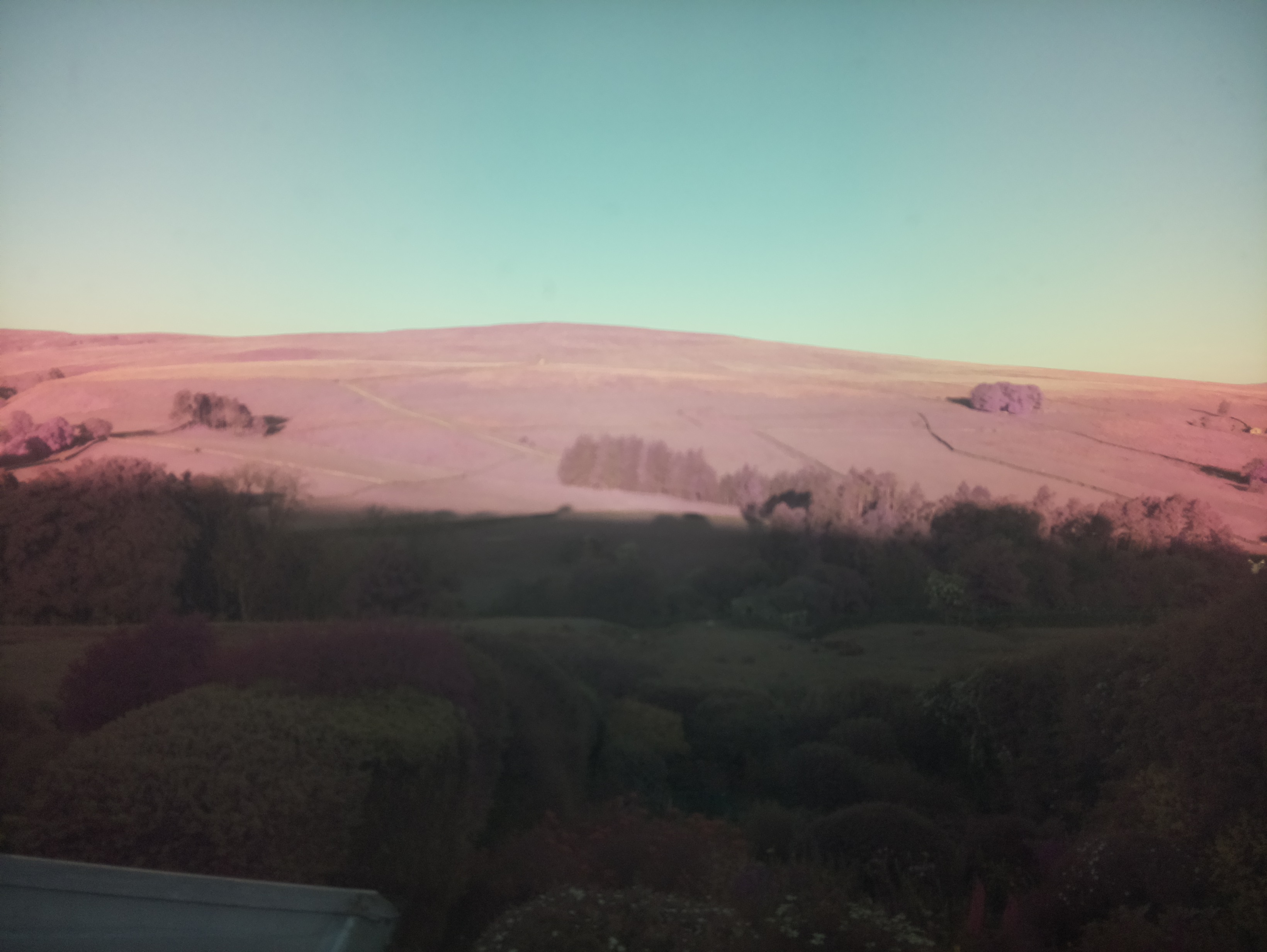 raspi webcam photo