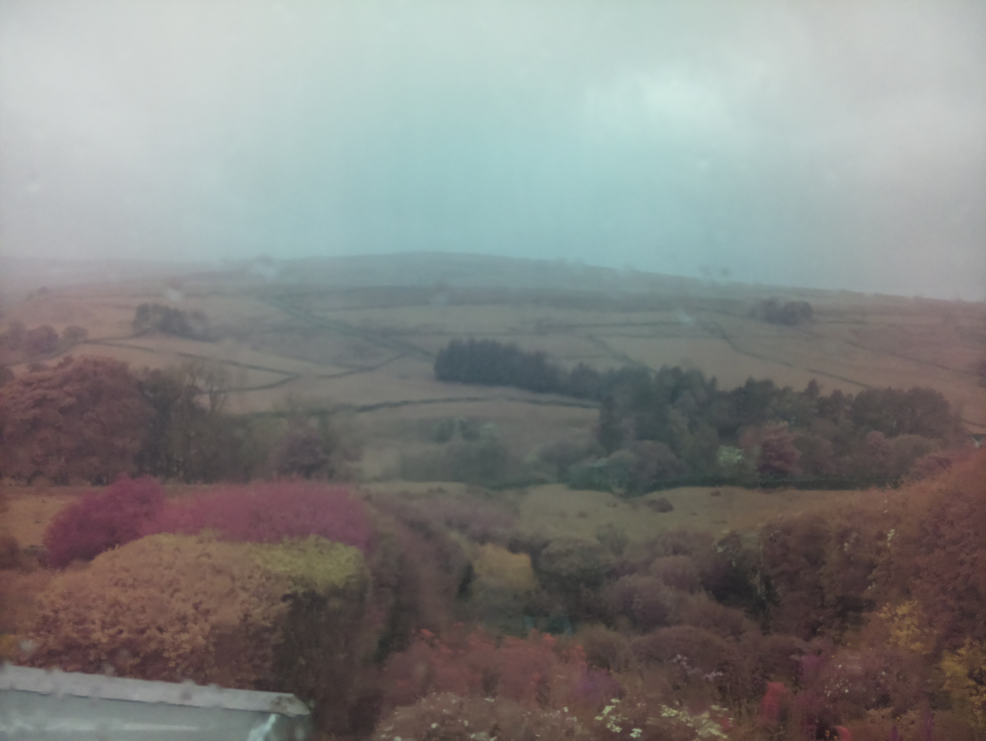 raspi webcam photo