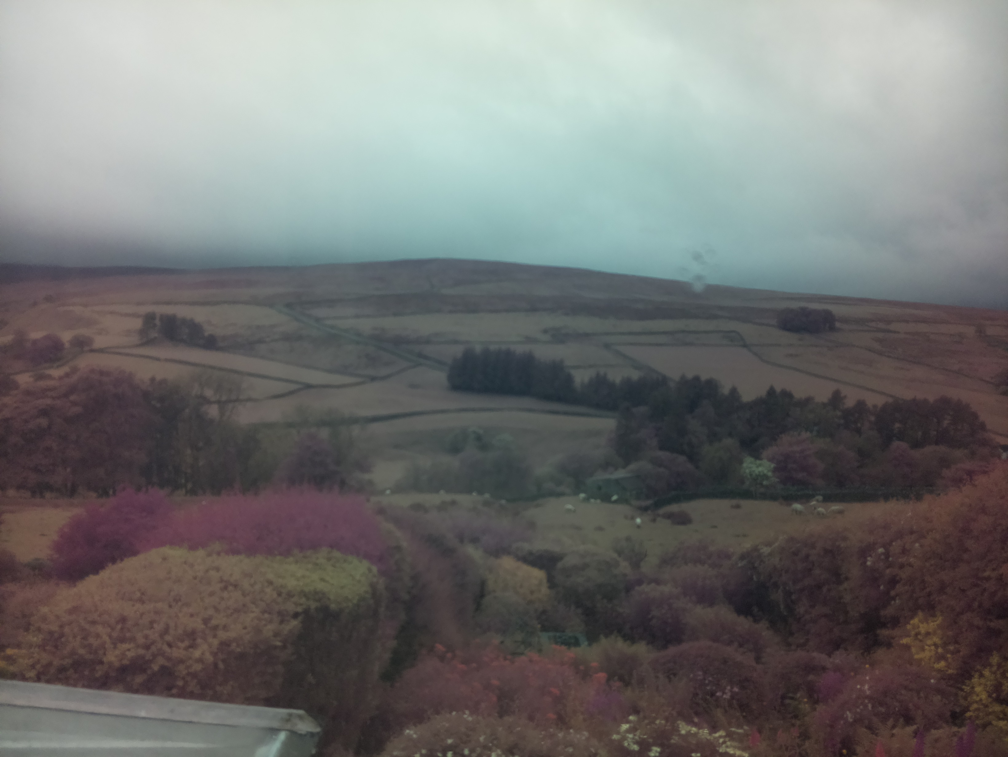raspi webcam photo