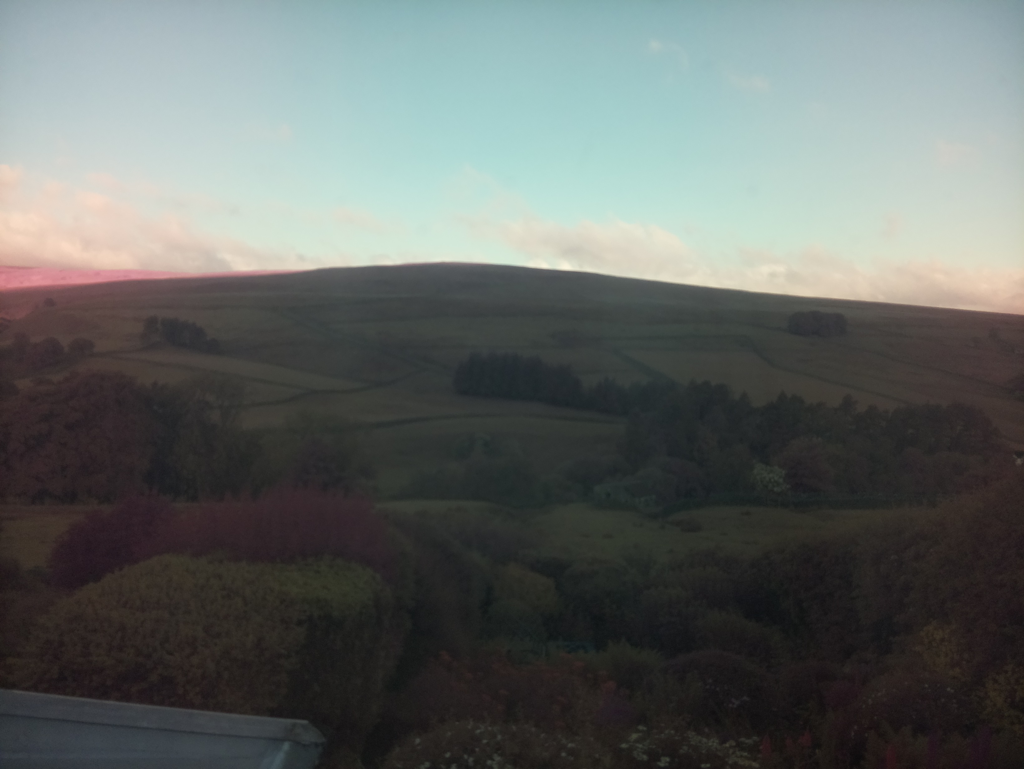 raspi webcam photo