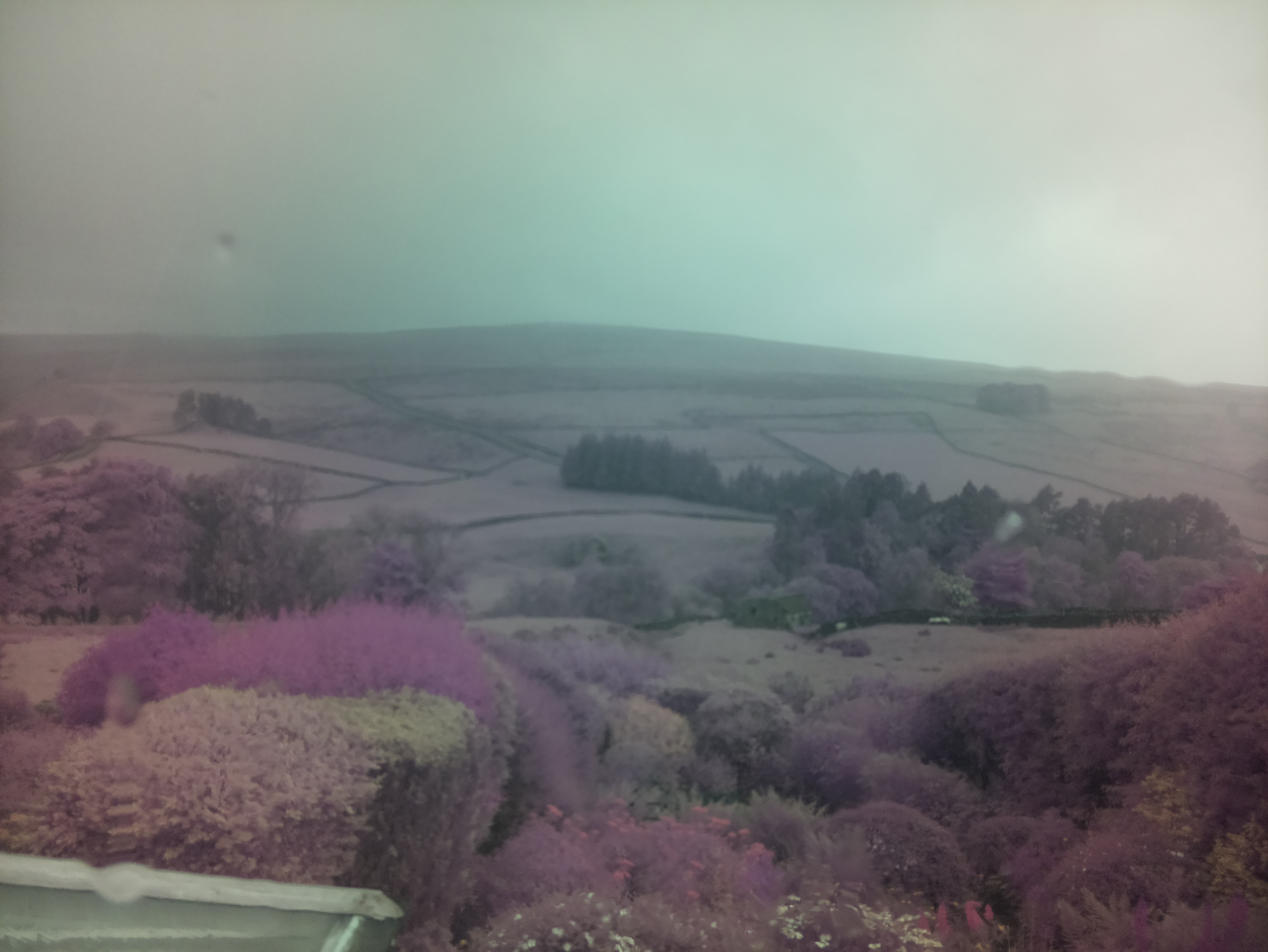 raspi webcam photo