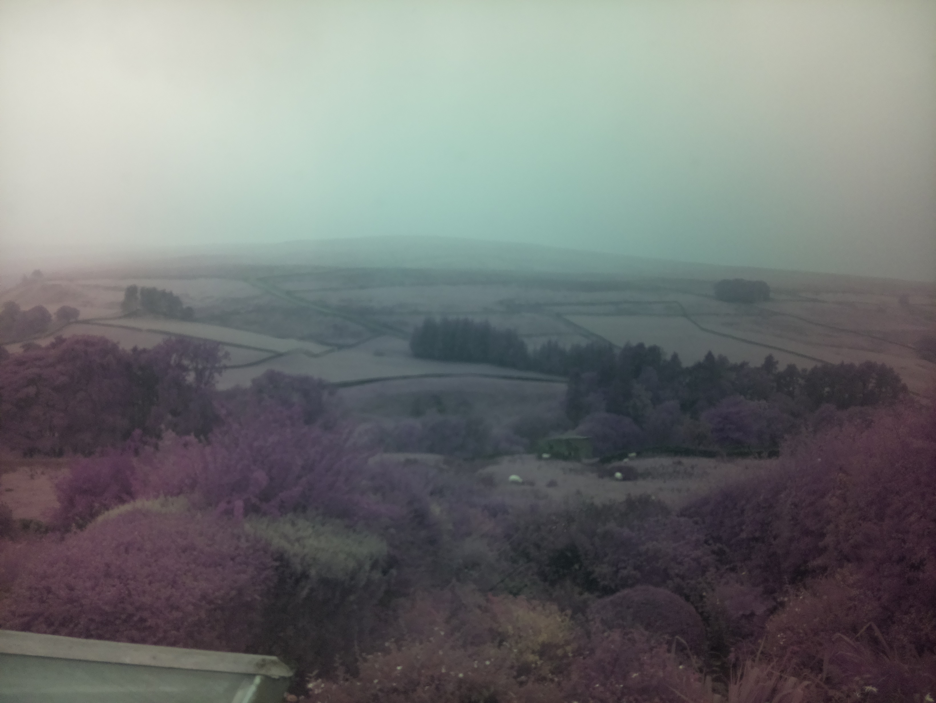 raspi webcam photo