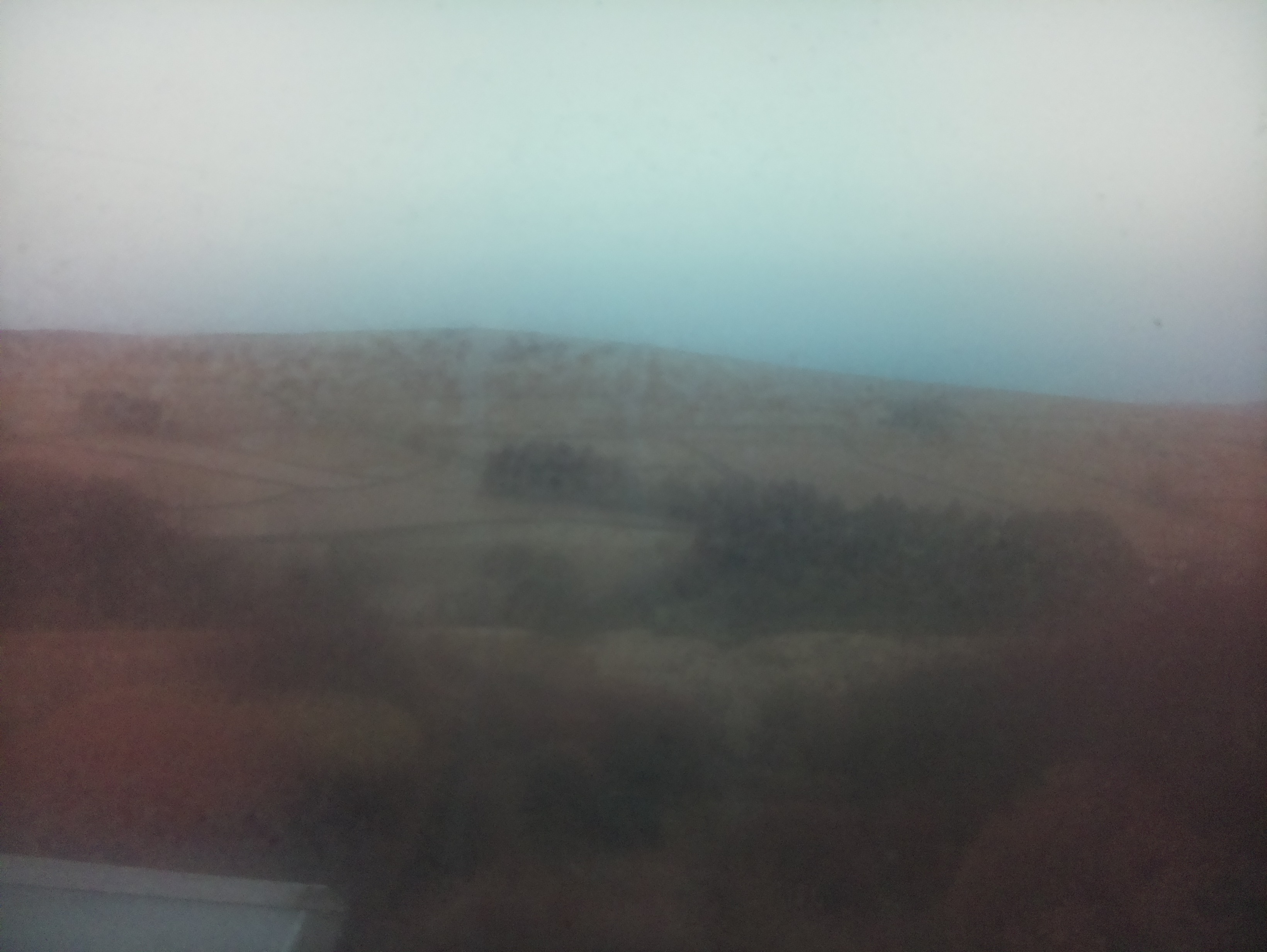 raspi webcam photo