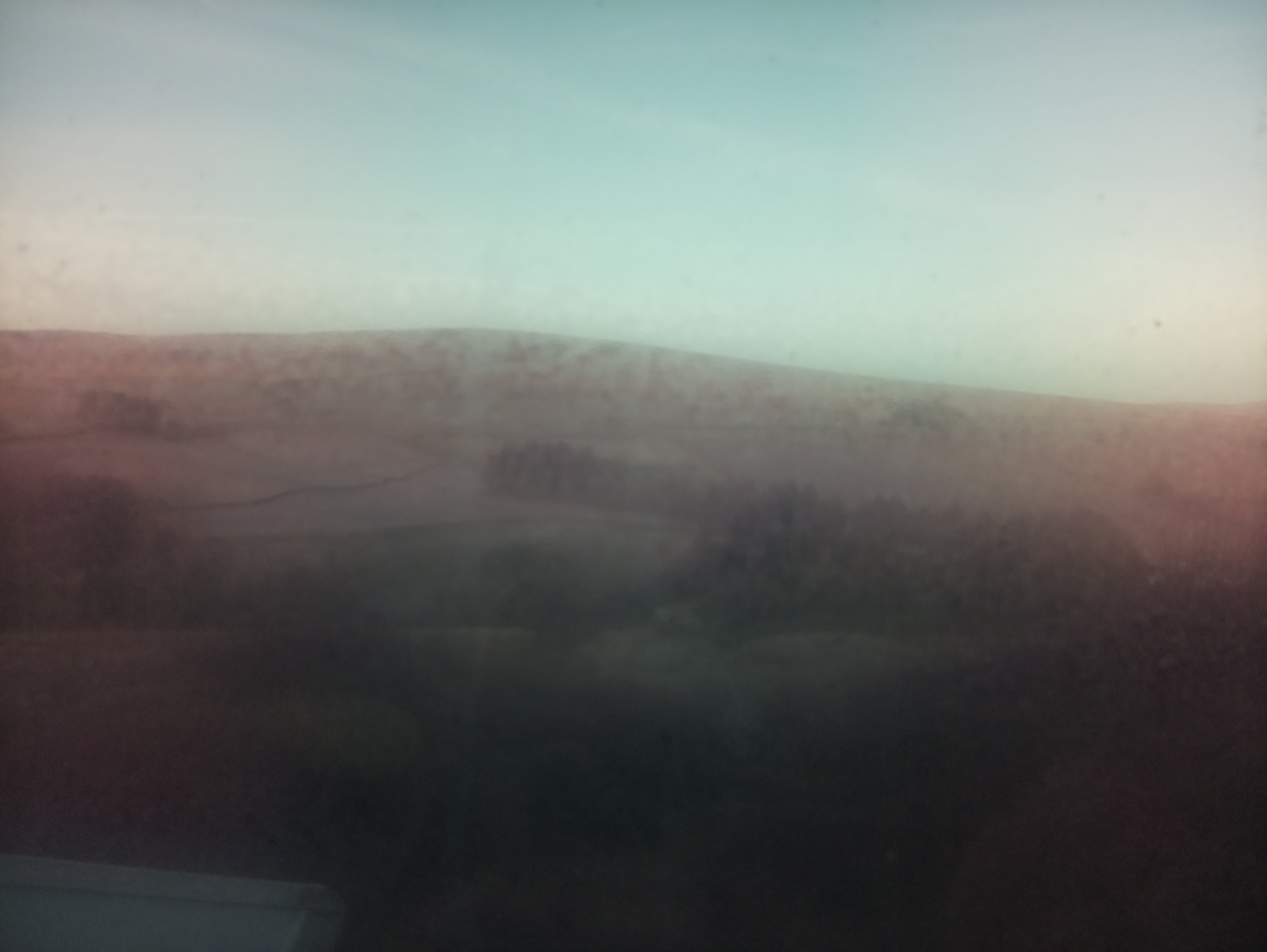 raspi webcam photo