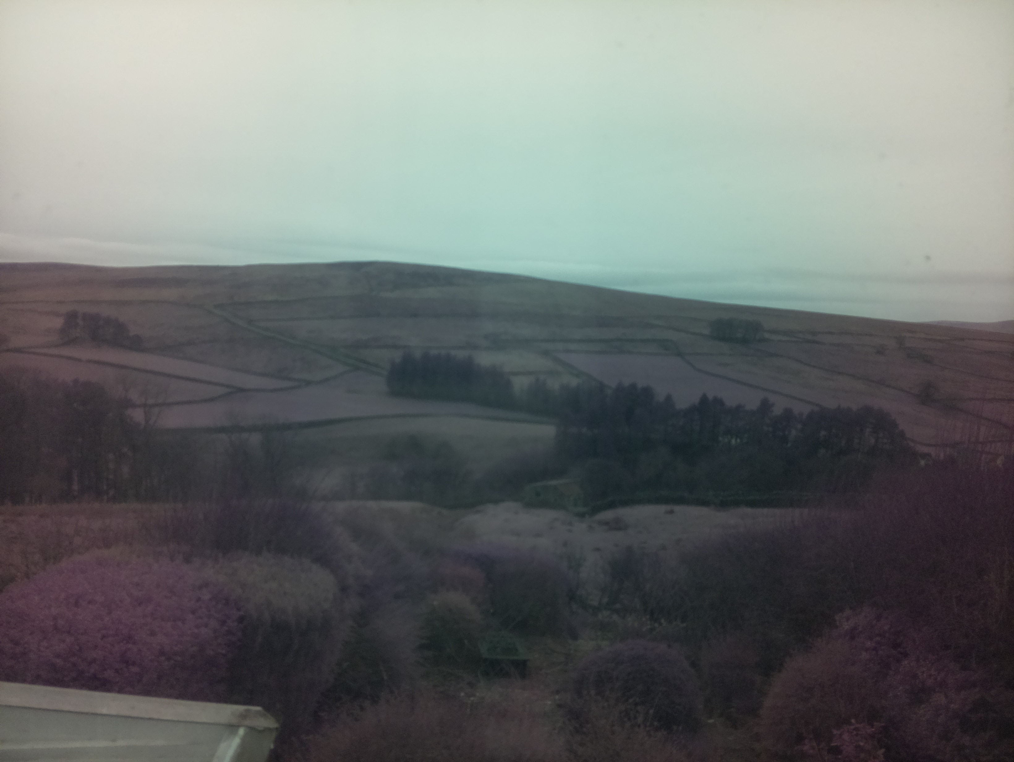 raspi webcam photo