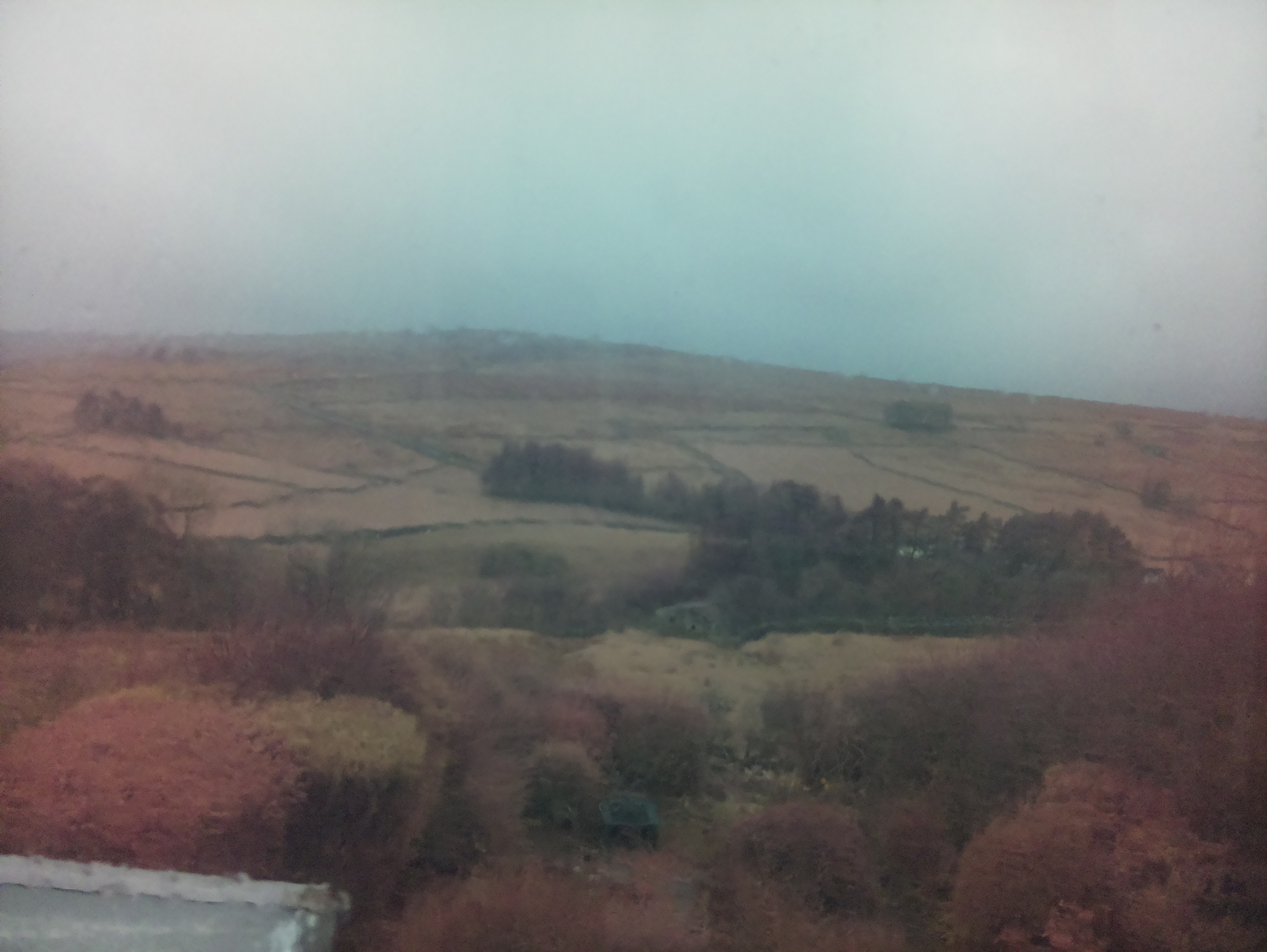 raspi webcam photo