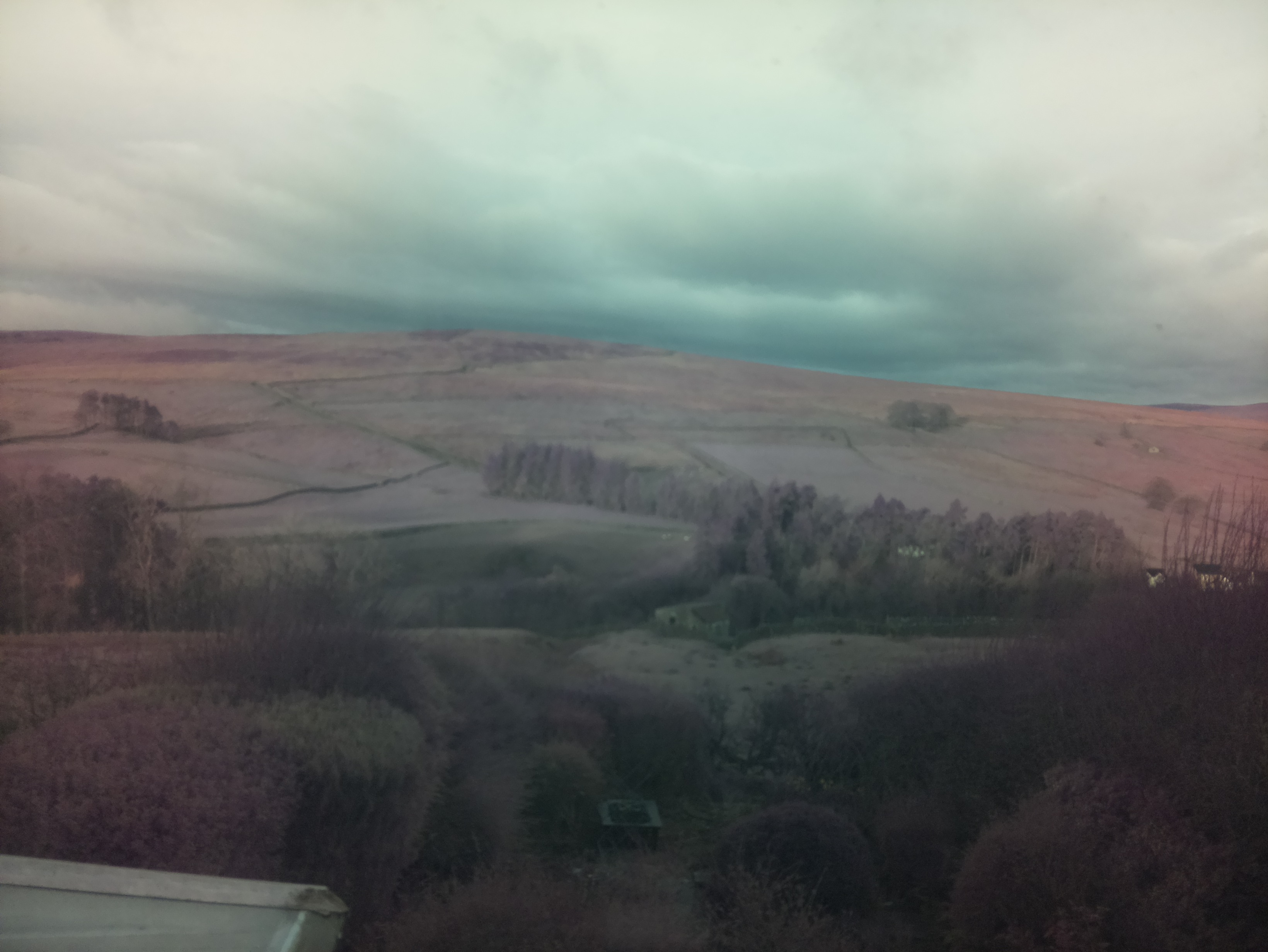 raspi webcam photo