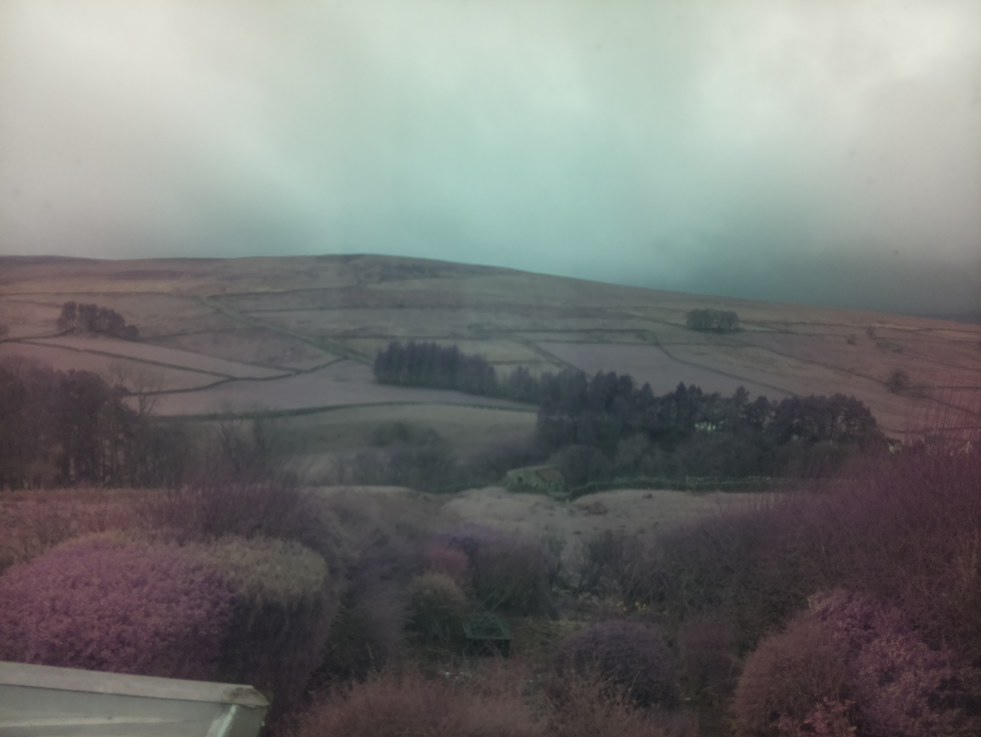 raspi webcam photo