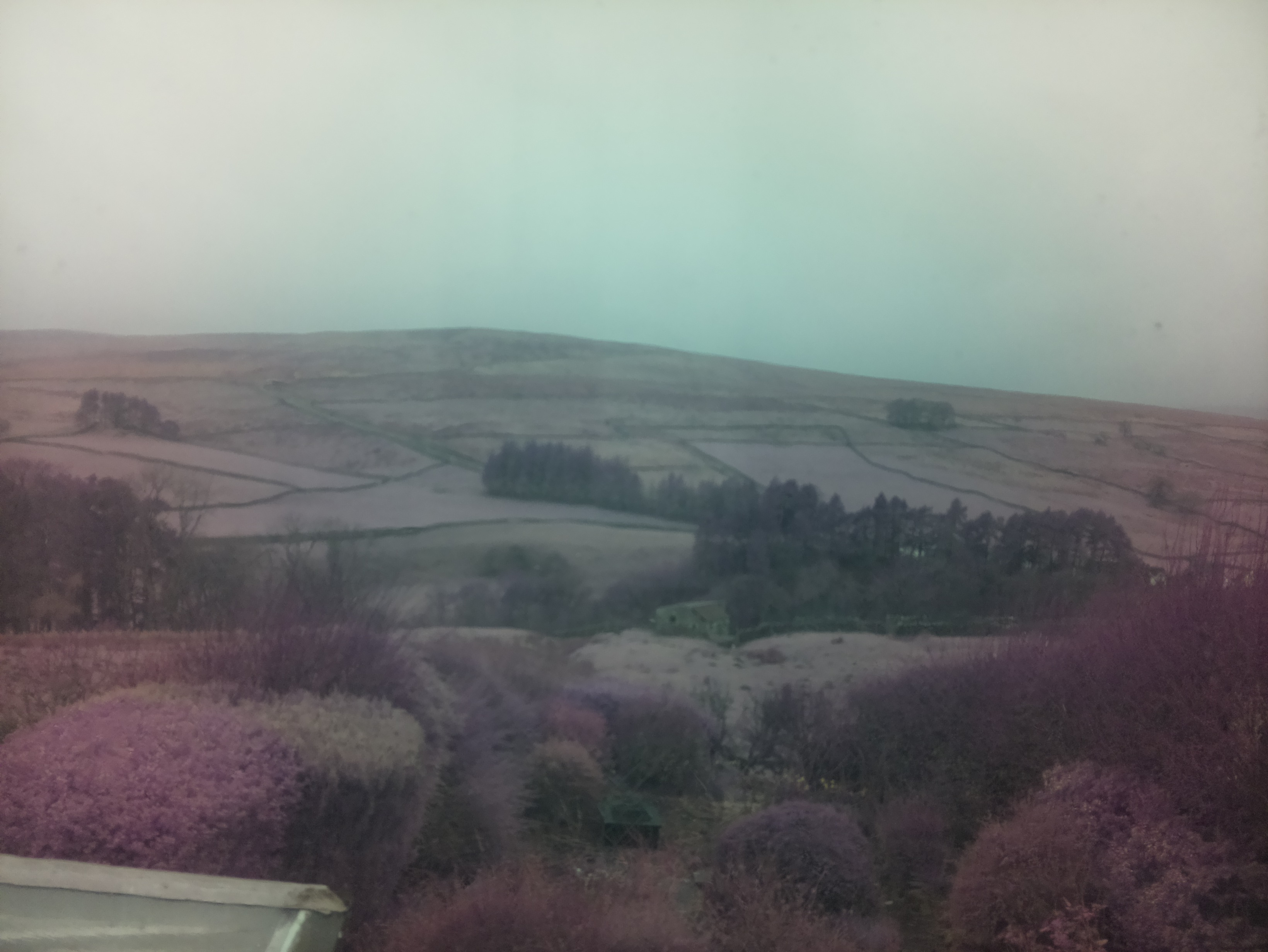 raspi webcam photo