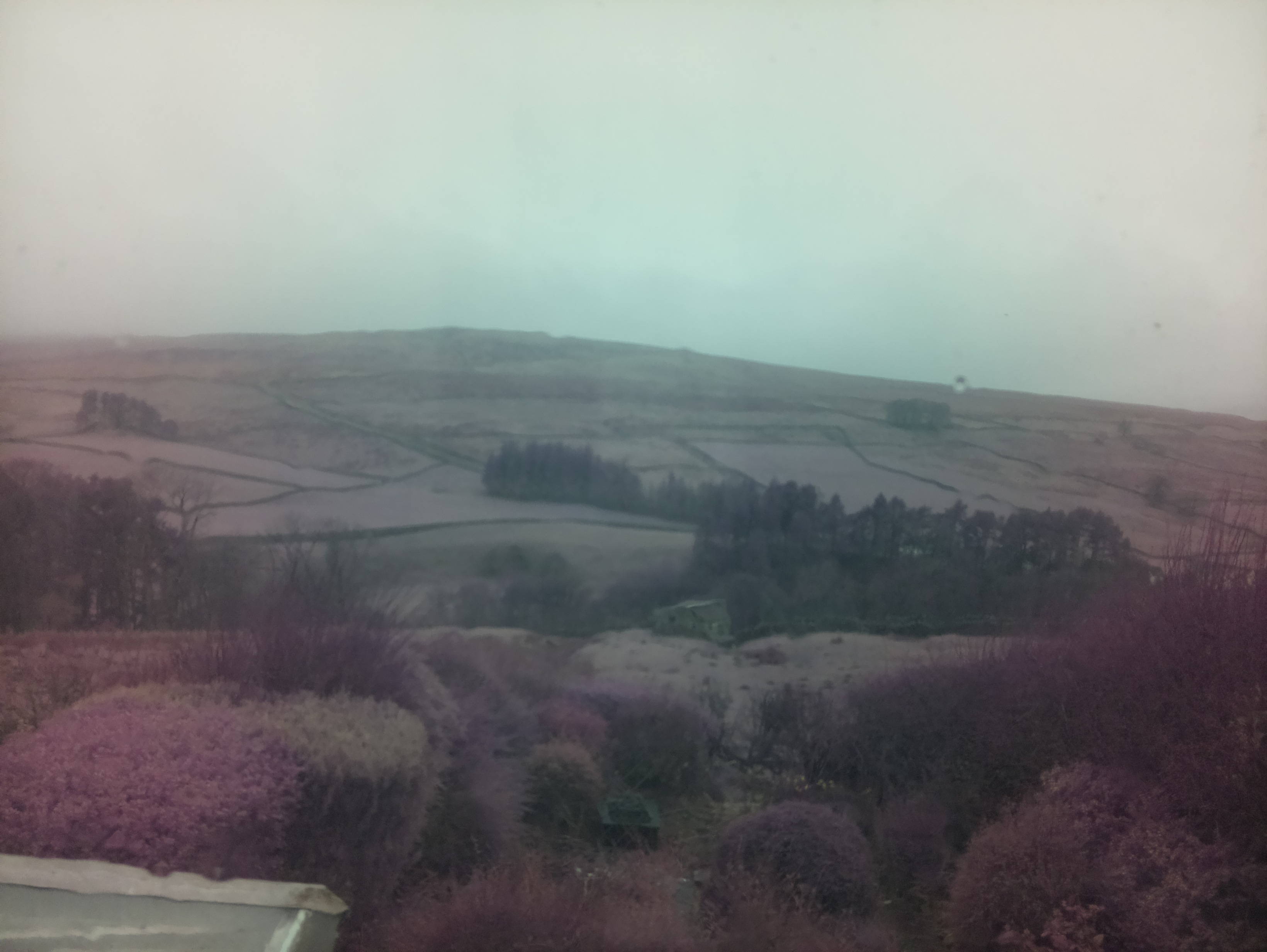 raspi webcam photo