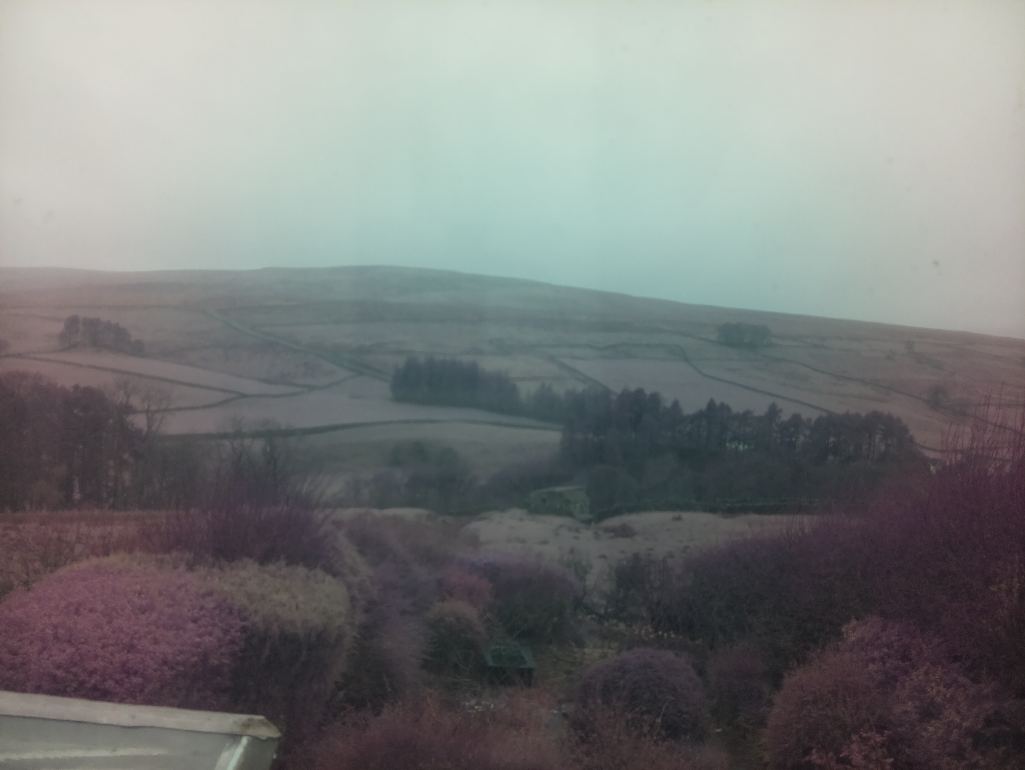 raspi webcam photo