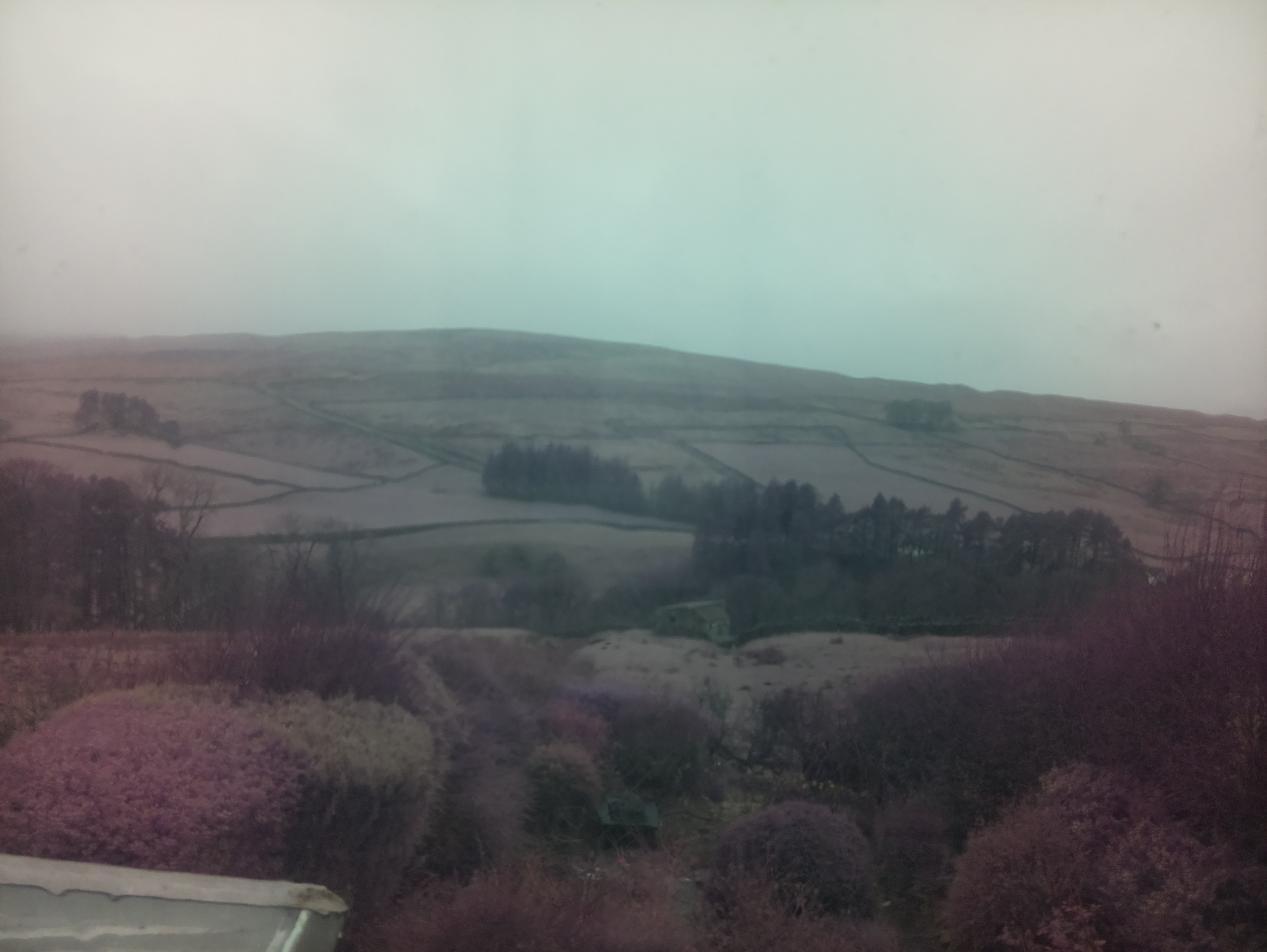 raspi webcam photo