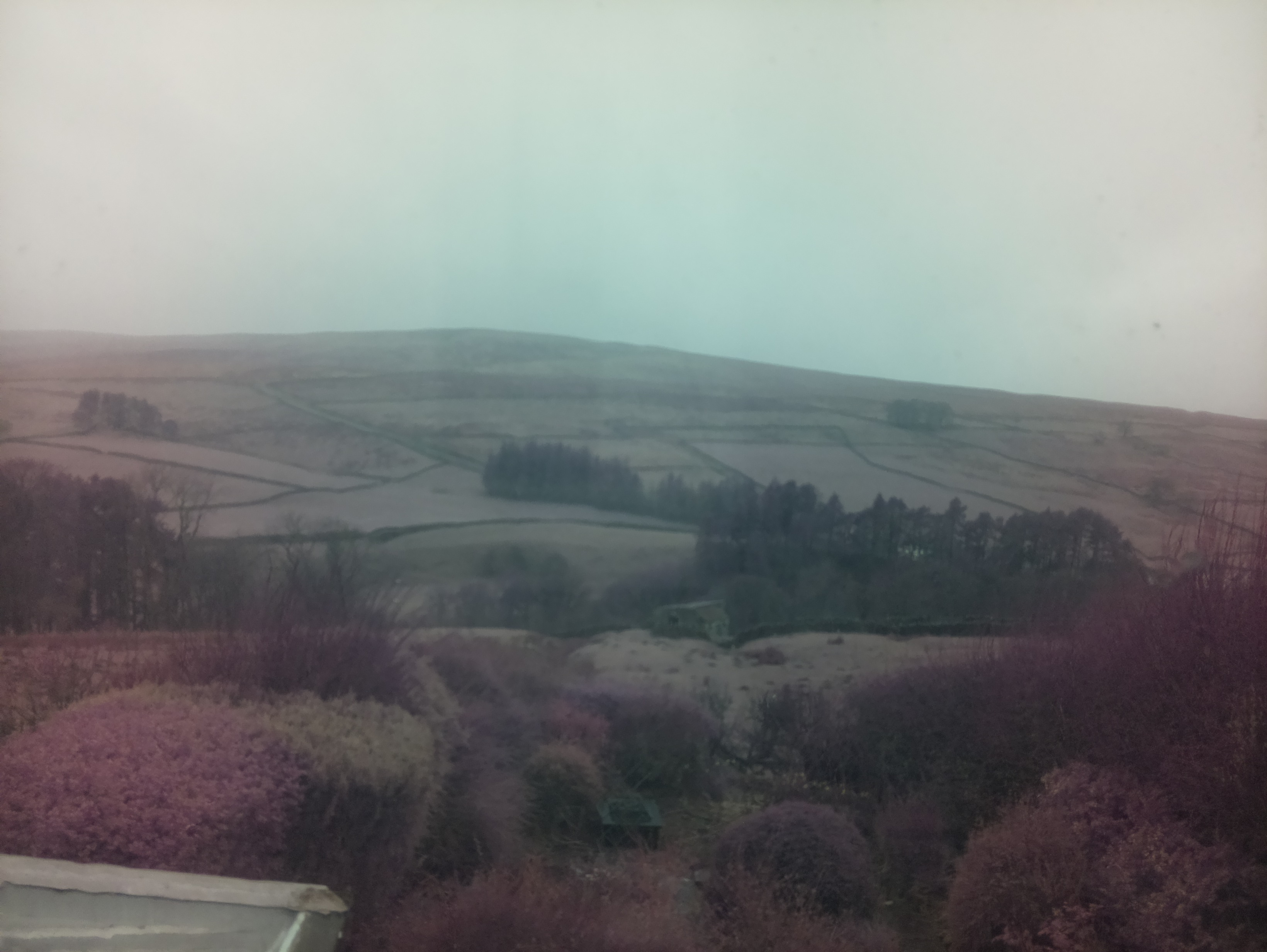 raspi webcam photo