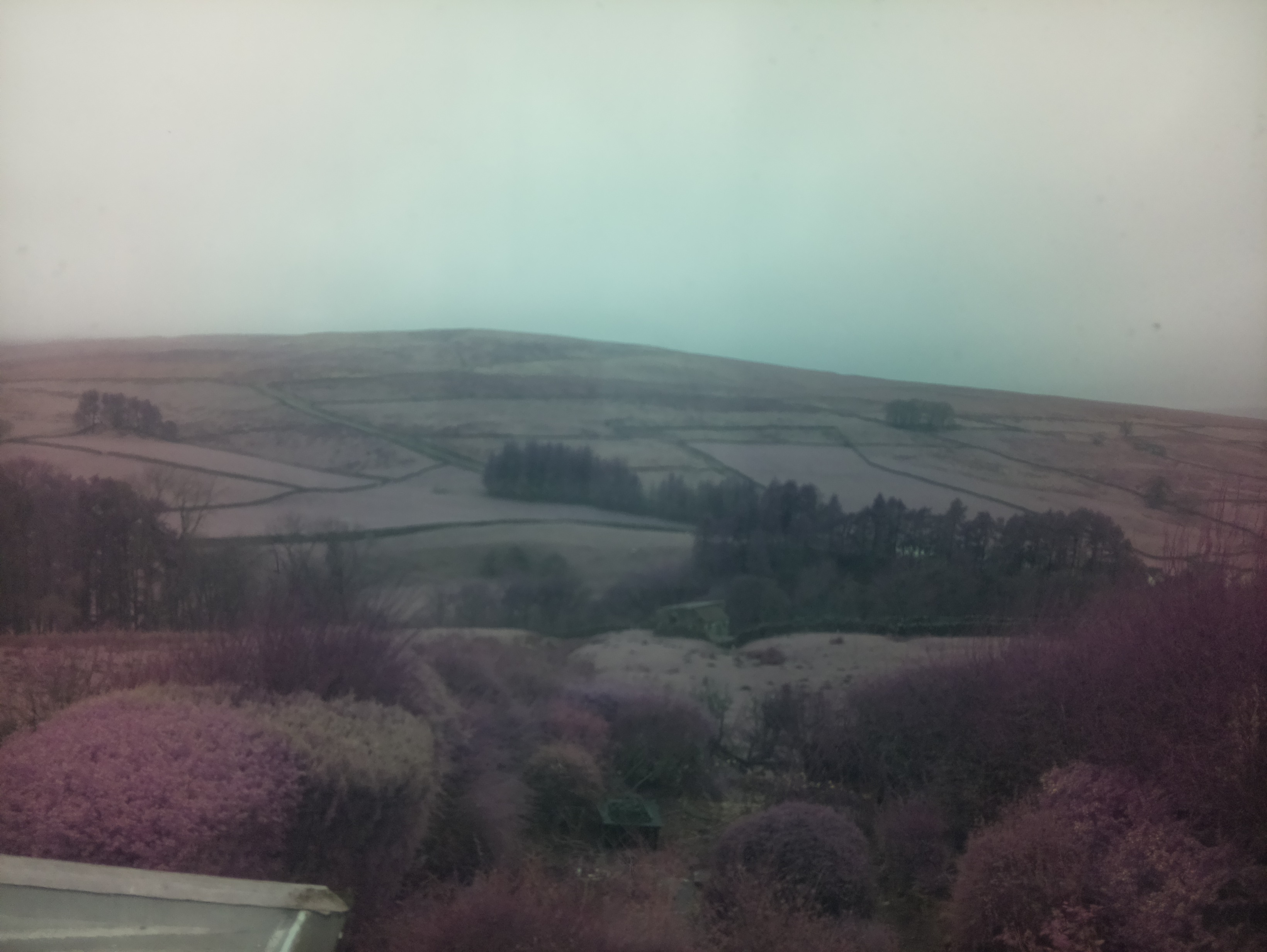 raspi webcam photo