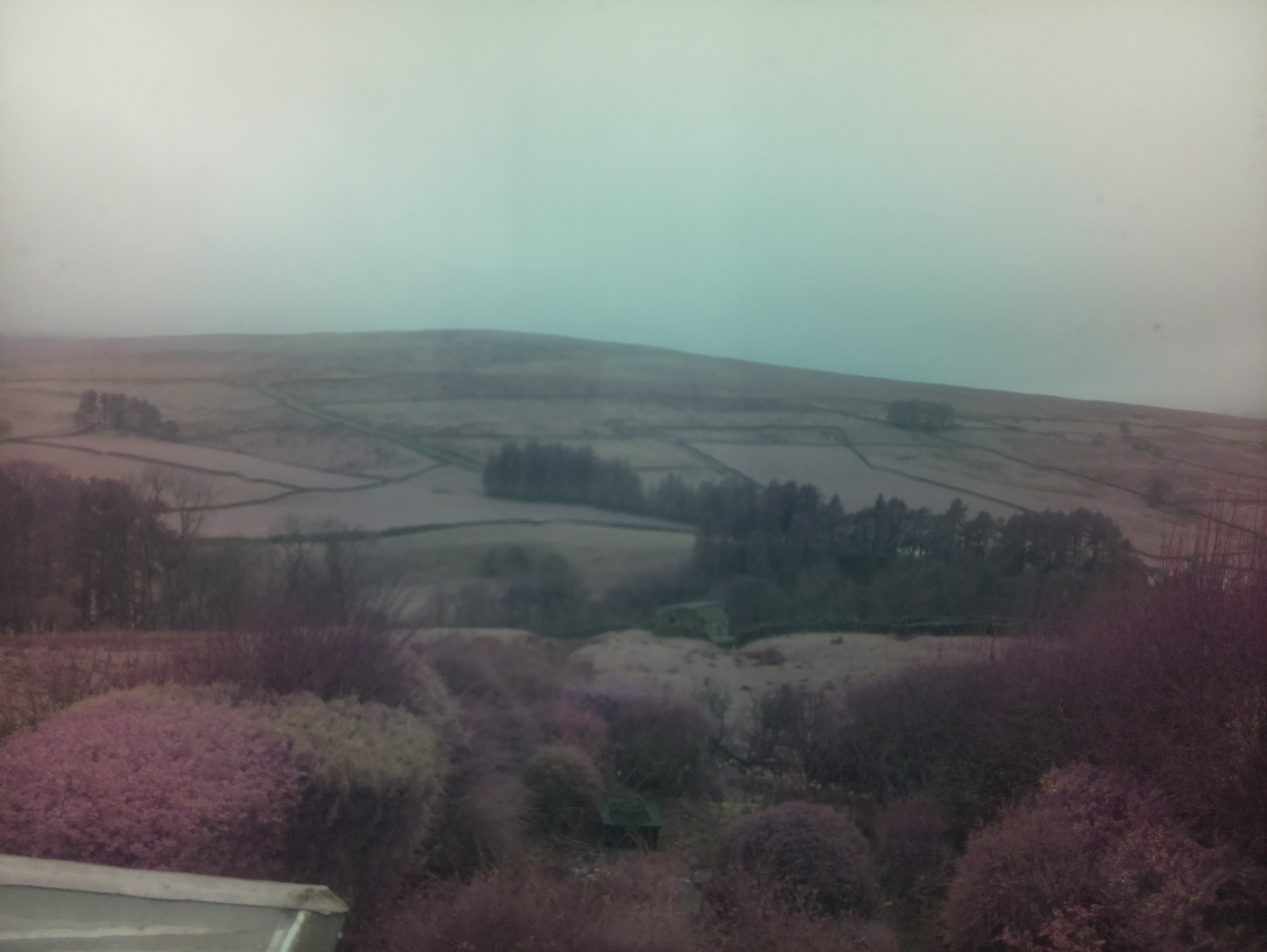 raspi webcam photo
