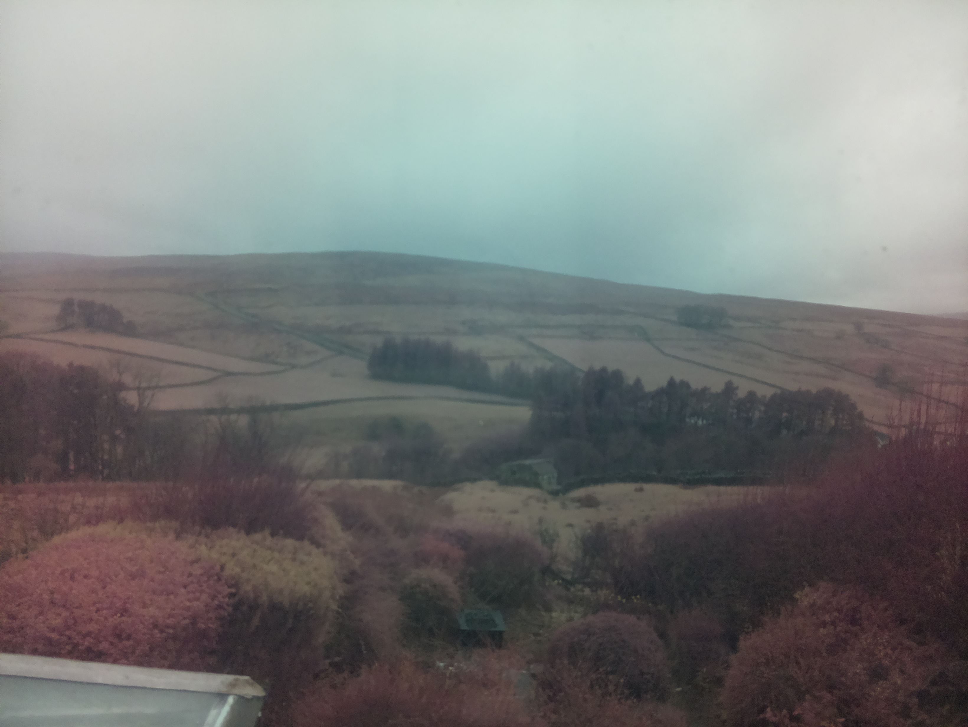 raspi webcam photo