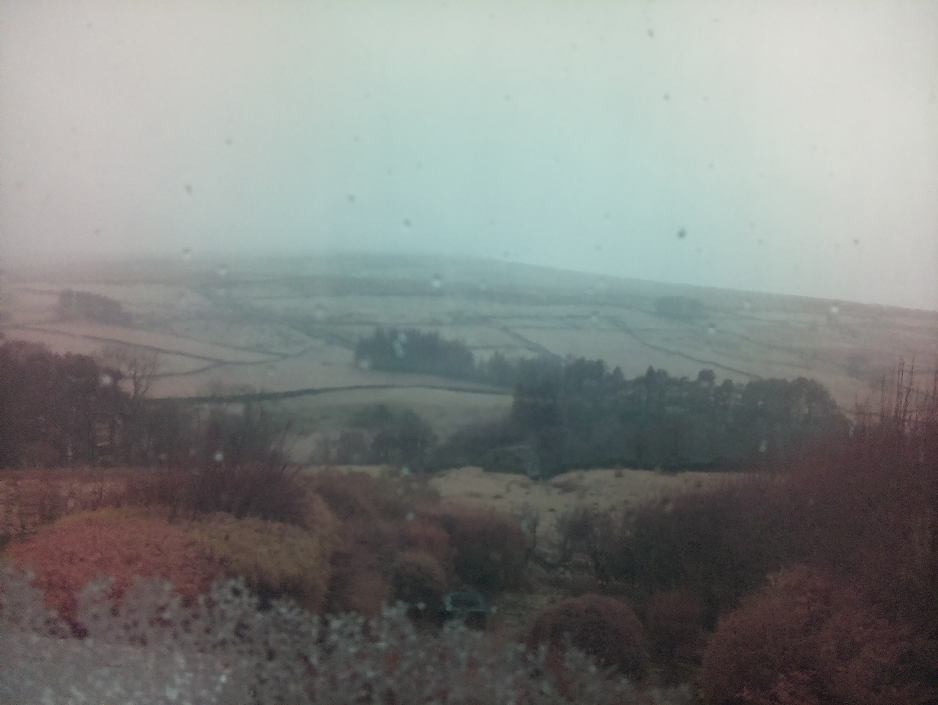raspi webcam photo