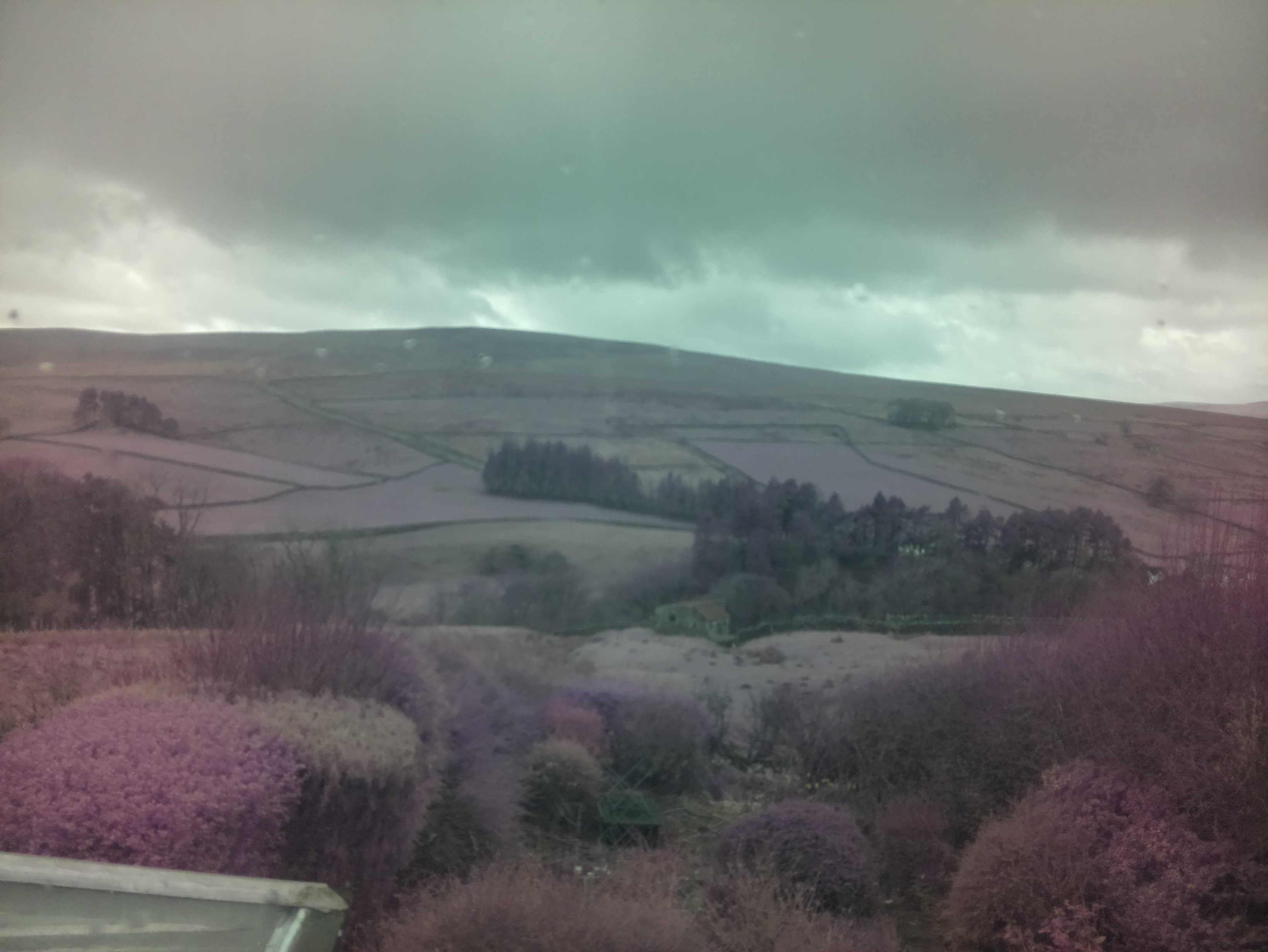 raspi webcam photo
