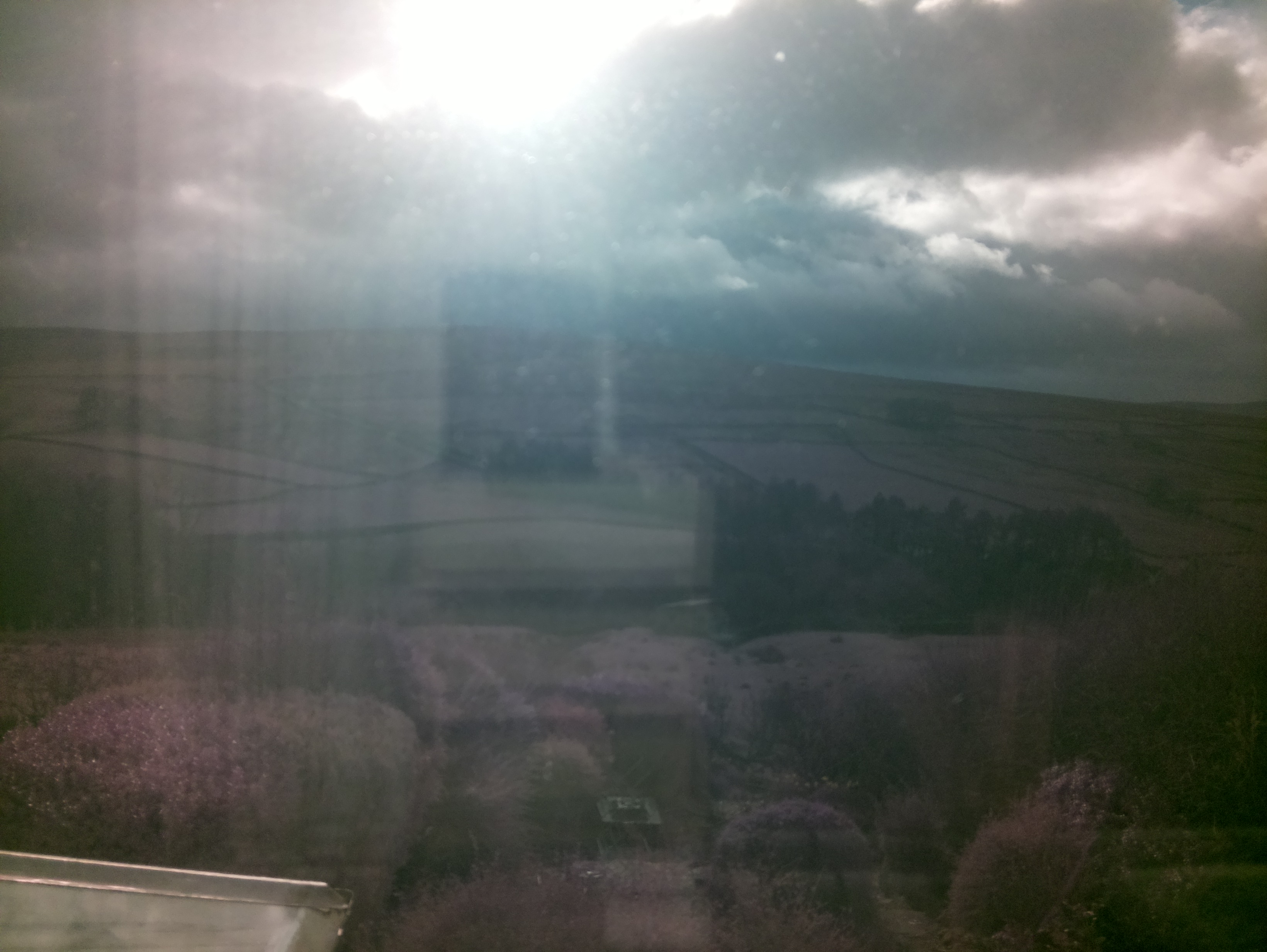 raspi webcam photo