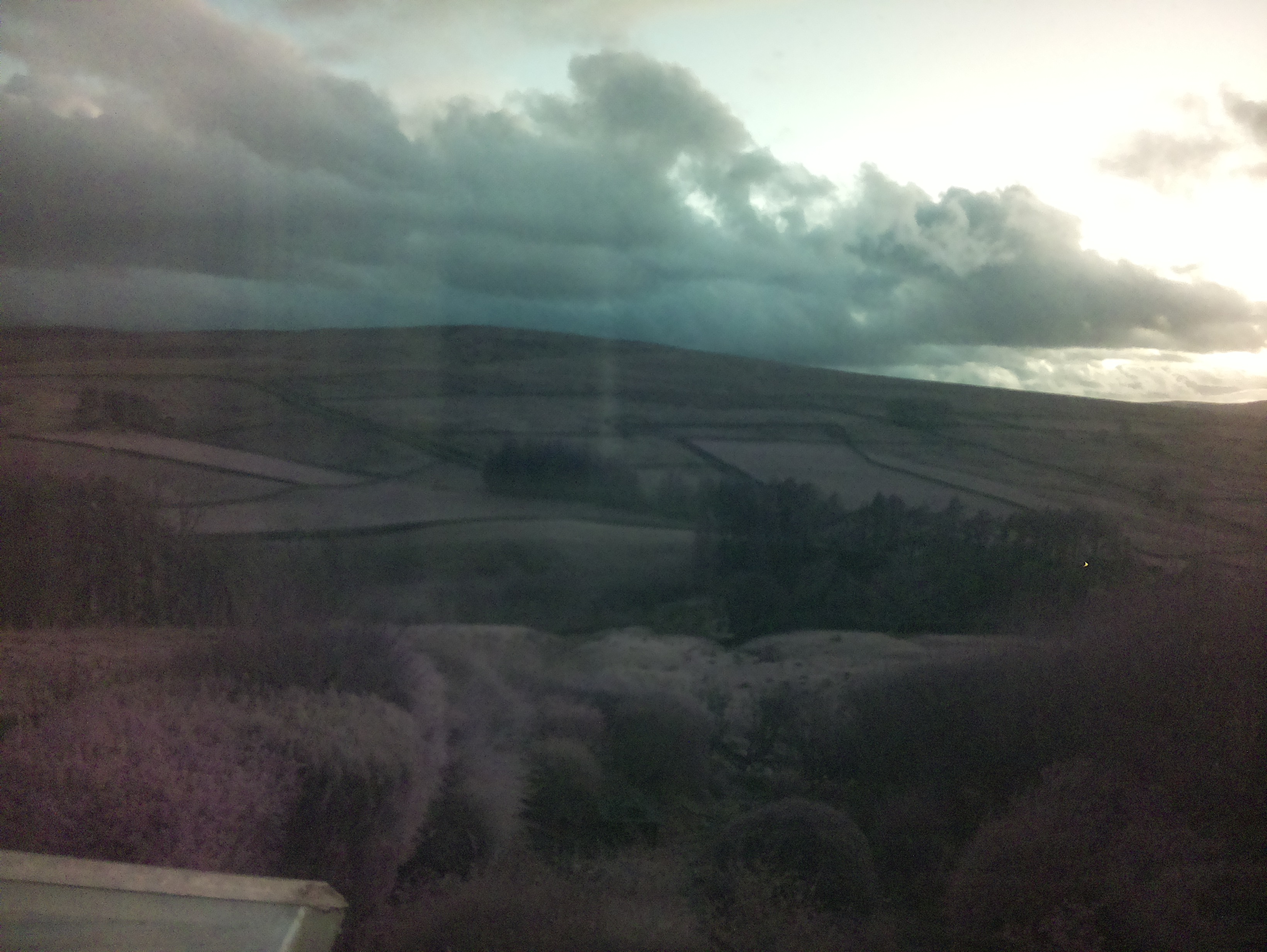 raspi webcam photo