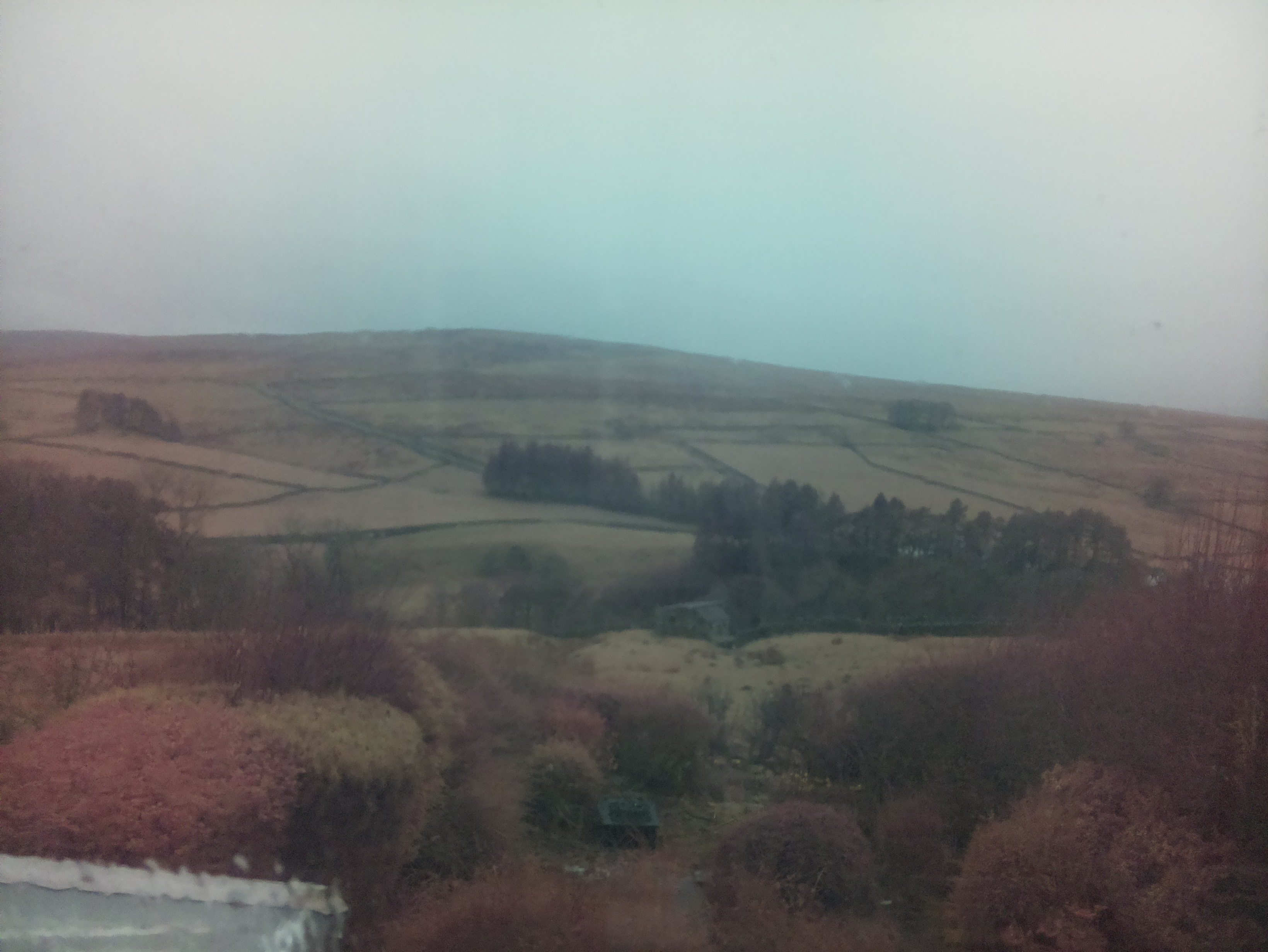 raspi webcam photo