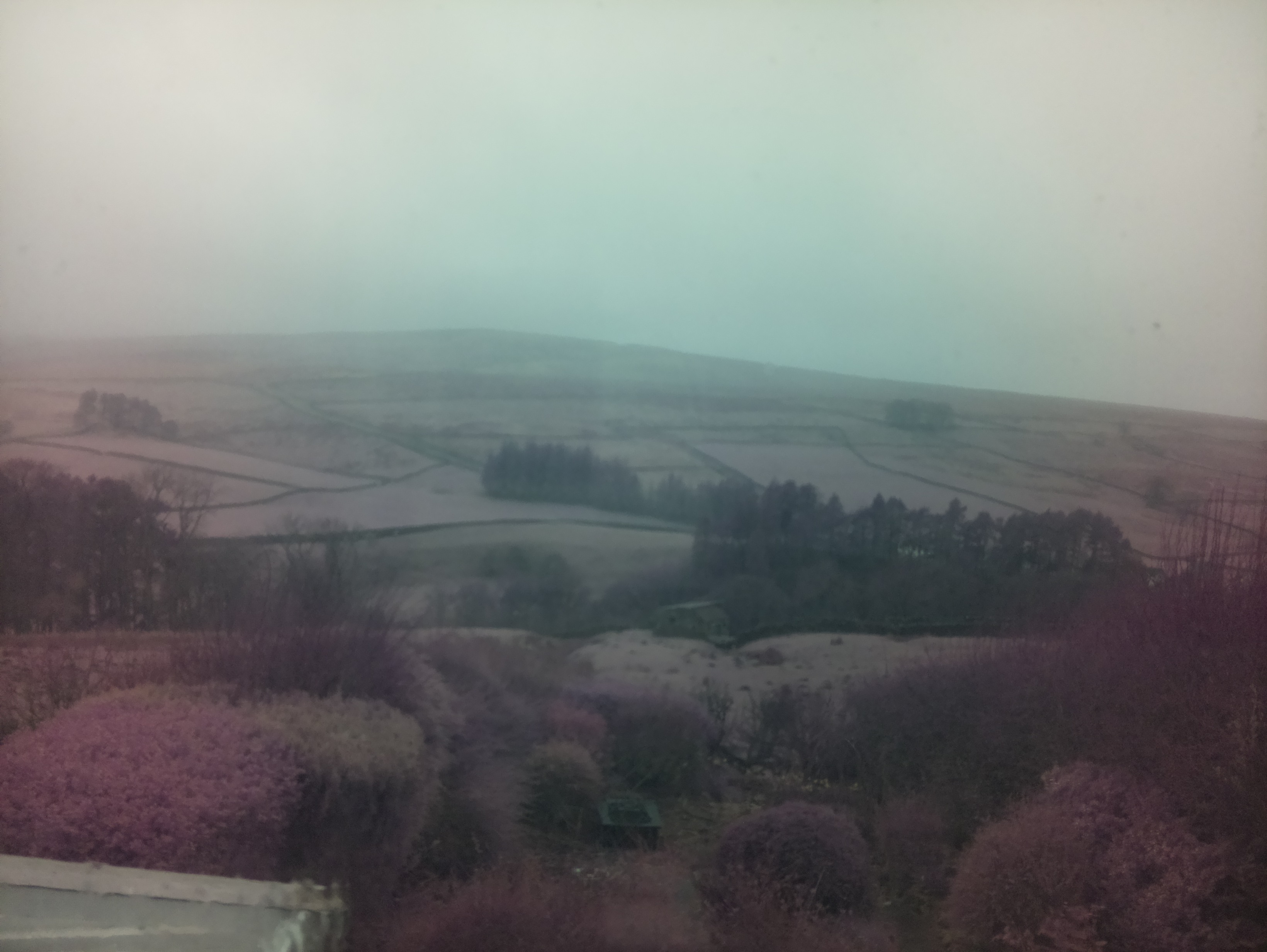 raspi webcam photo