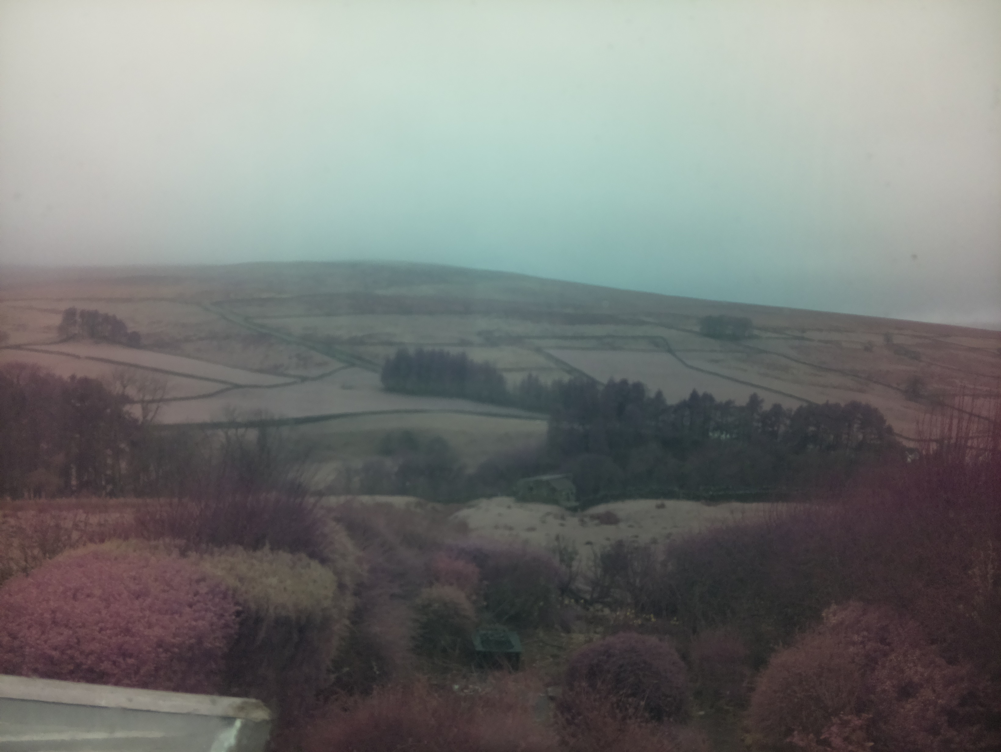 raspi webcam photo